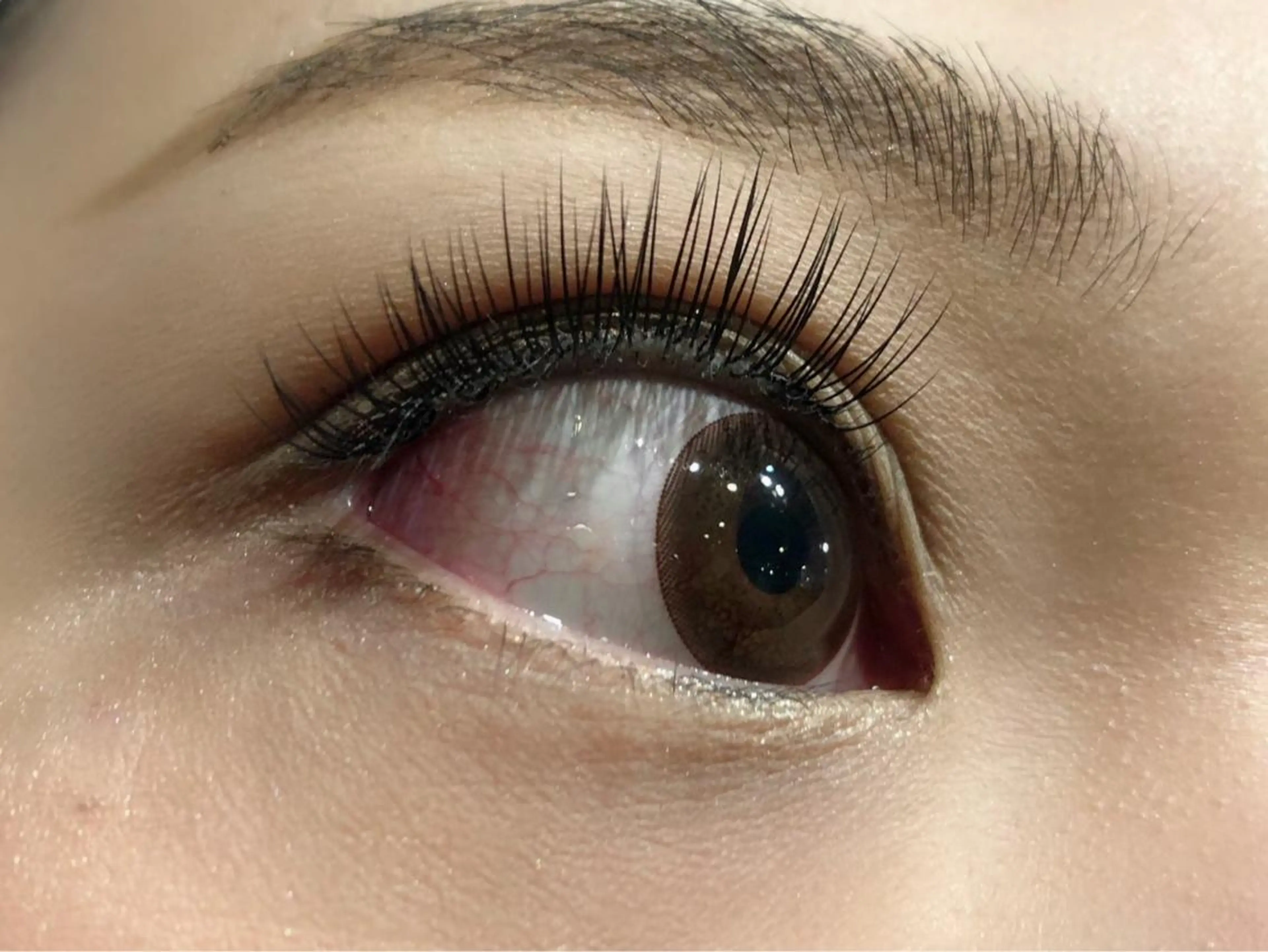 マツエク・マツパ Lien 川崎店【リアン】所属・LUANATOKYO 🫧武蔵小杉のマツエク・マツパデザイン