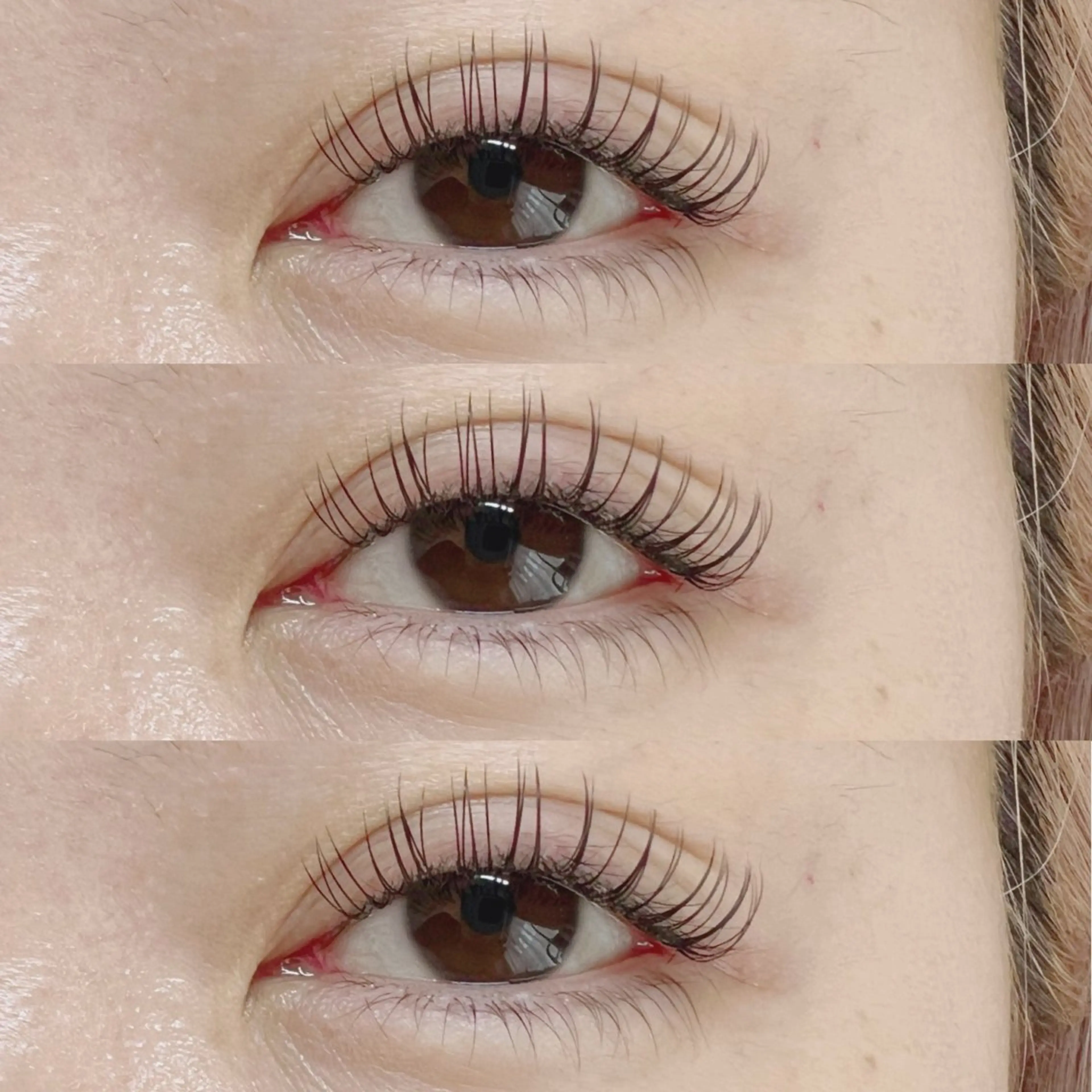 大人気まつ毛パーマ上下set💍逆まつげの方向け/コーティング付の写真