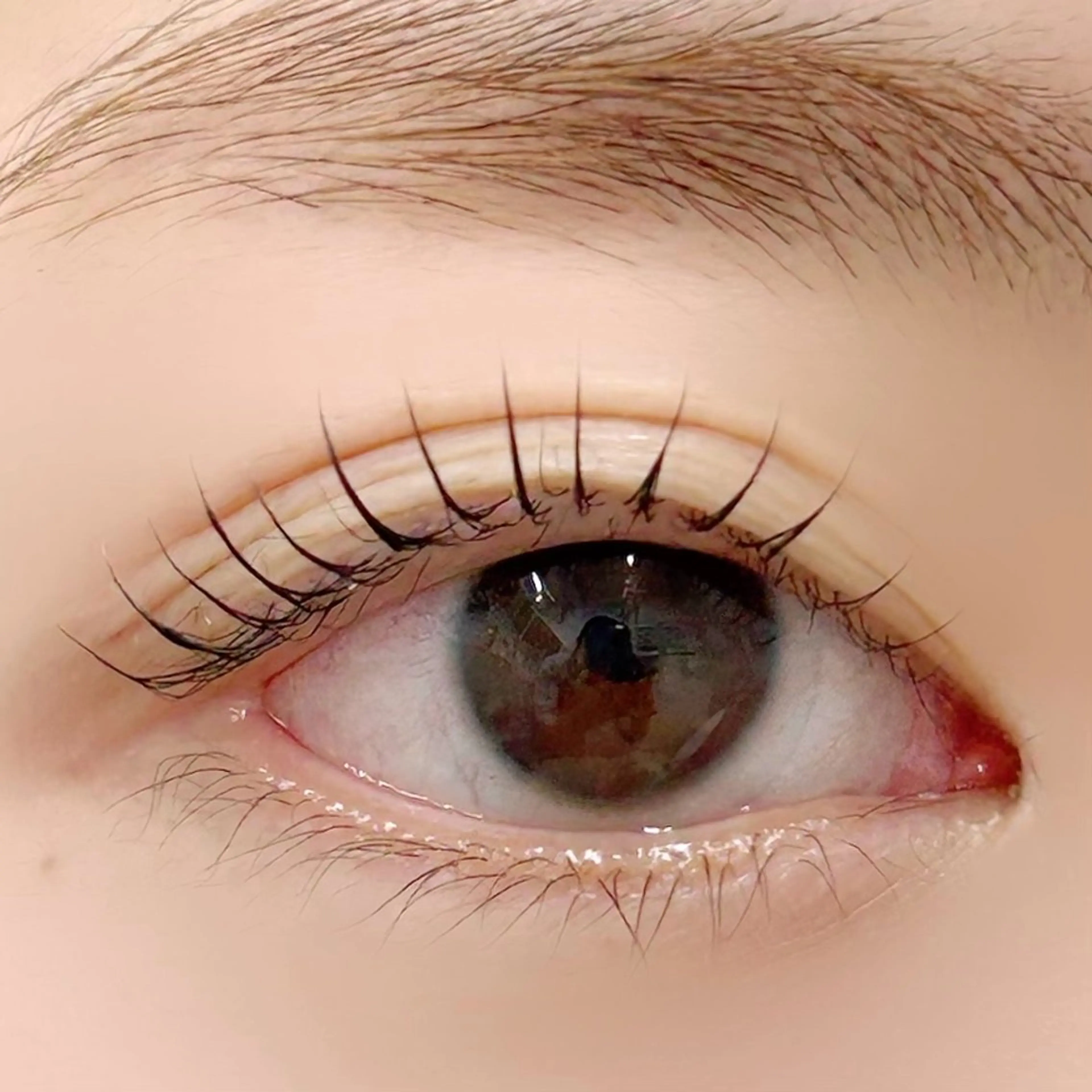 マツエク・マツパ 一重×まつ毛パーマ BellFlower Aki（眉・まつげ）のマツエク・マツパデザイン