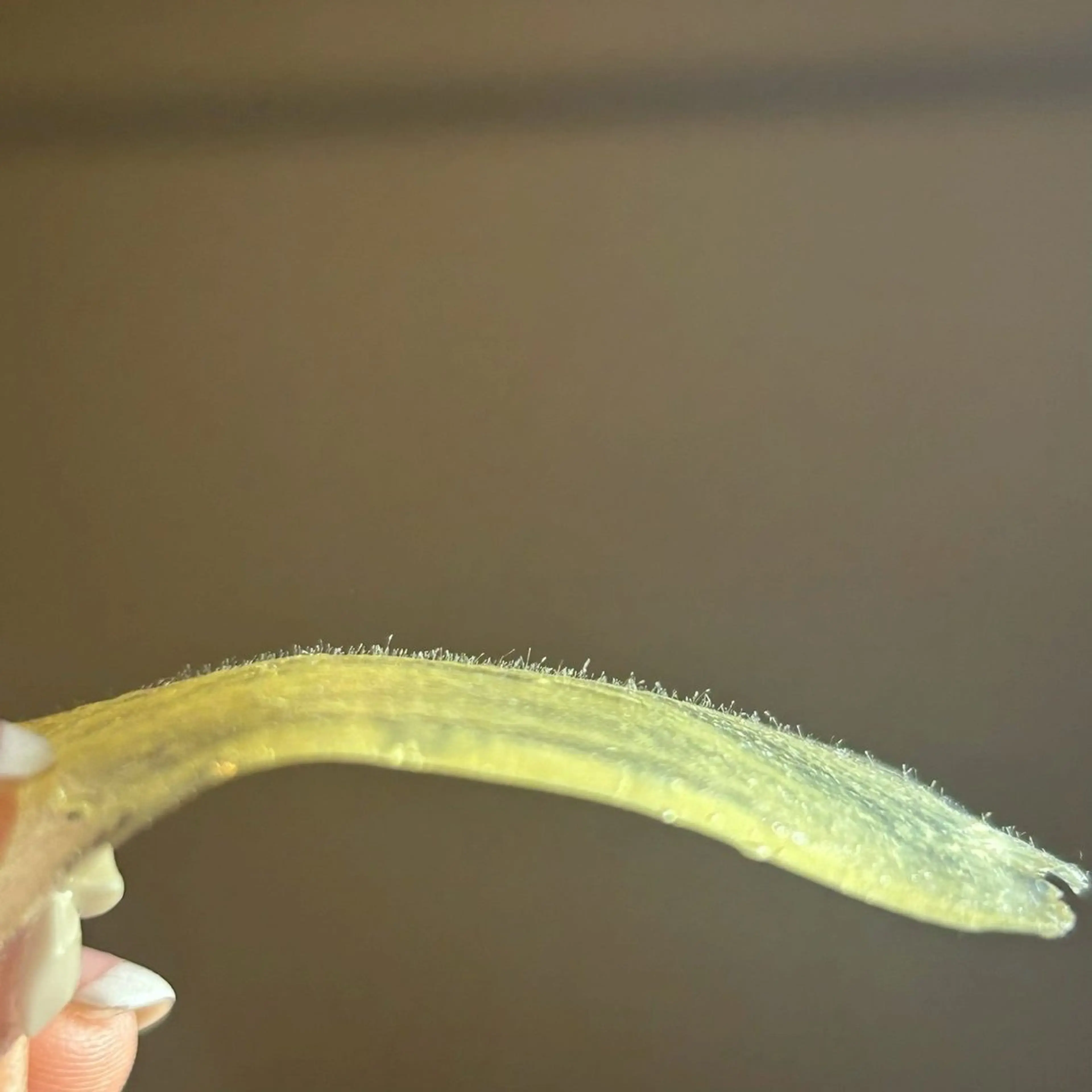 エステ ハーブ&艶肌ワックス re:proのエステ・リラクイメージ