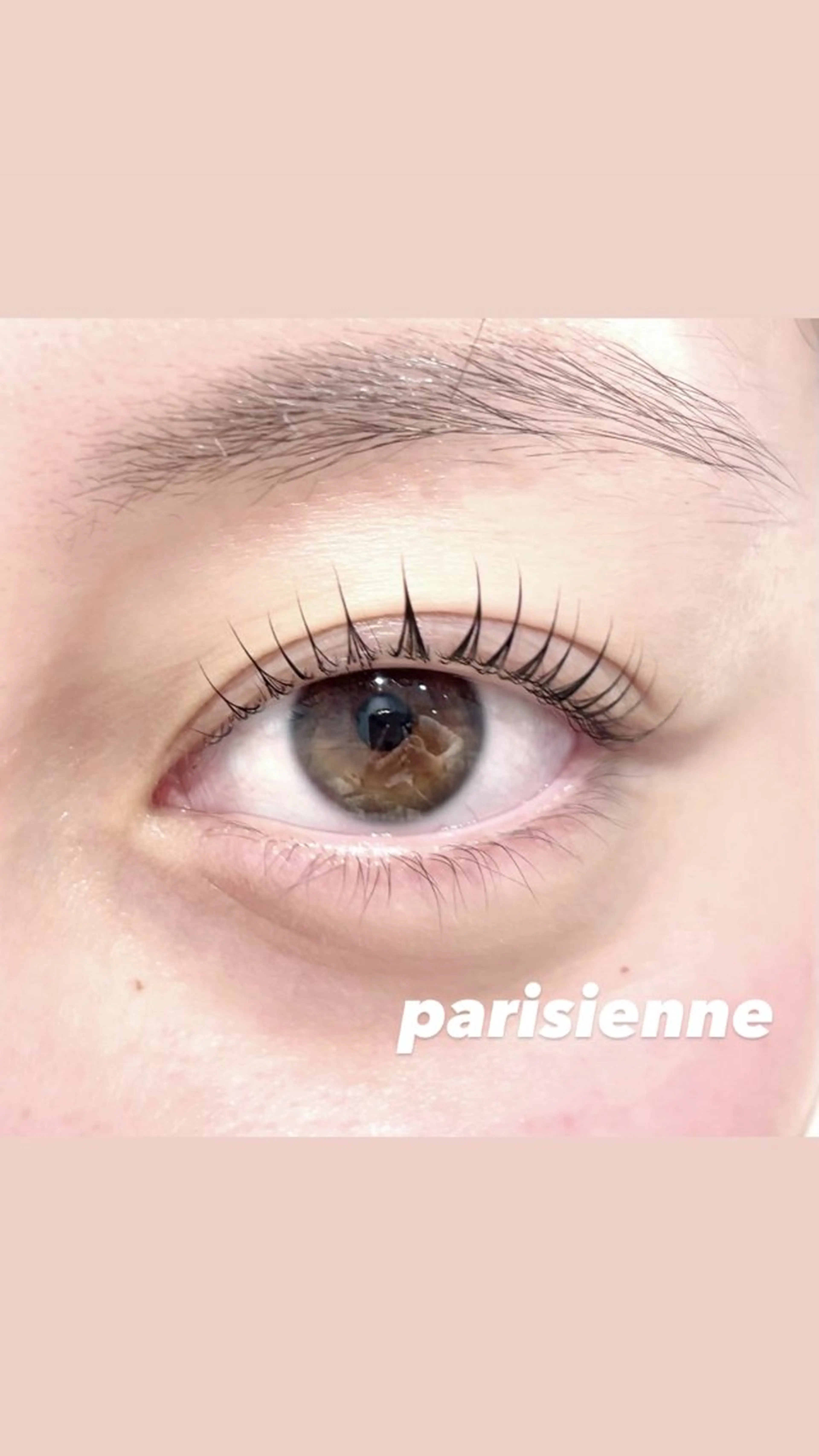 マツエク・マツパ パリジェンヌラッシュリフト まつげパーマ マツパ 🤍Lia Dejima🤍🪄のマツエク・マツパデザイン