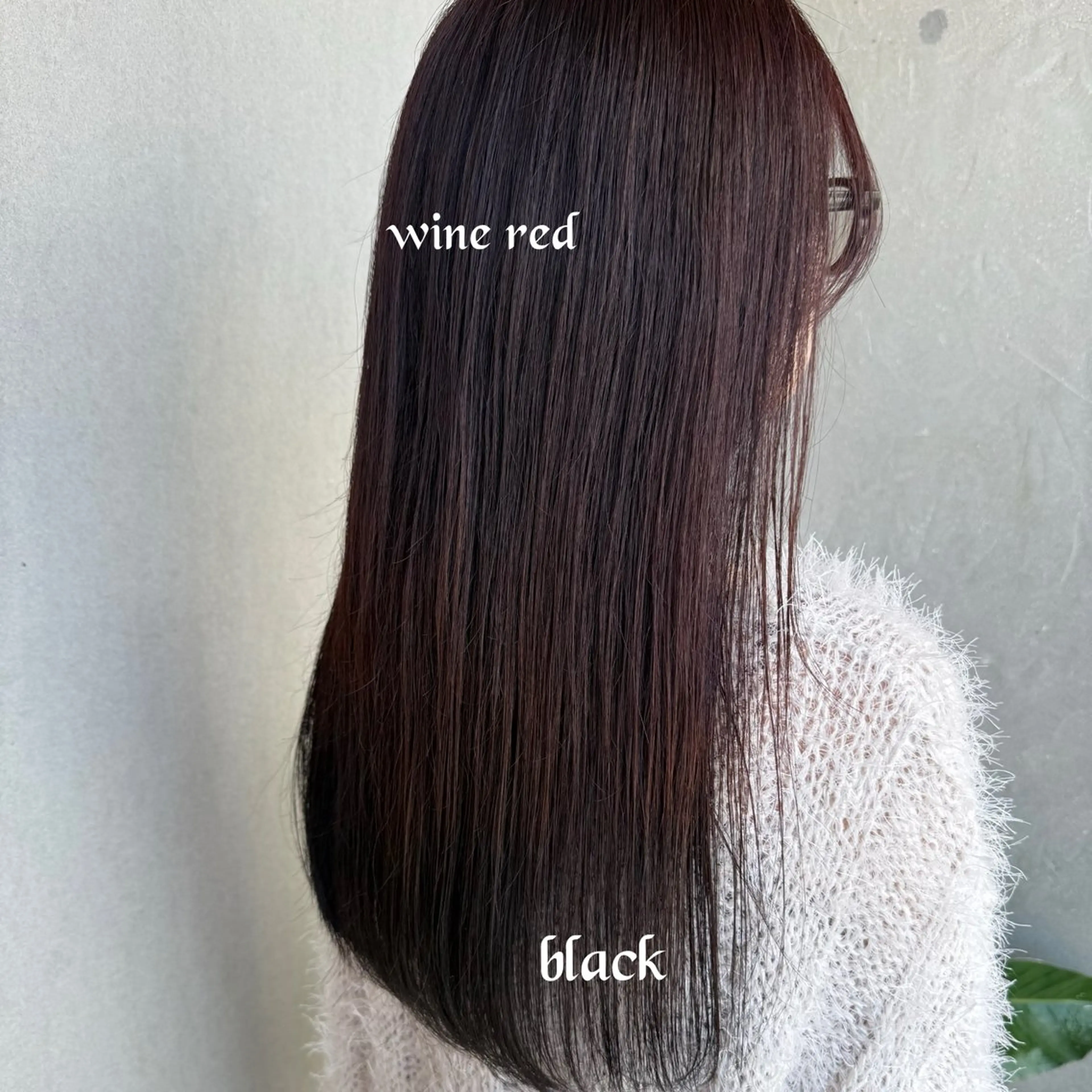 🌷カット➕カラー➕ハホニコトリートメント🌷顔周りカット/艶髪/ブリーチなしカラー/暖色系カラー/の写真