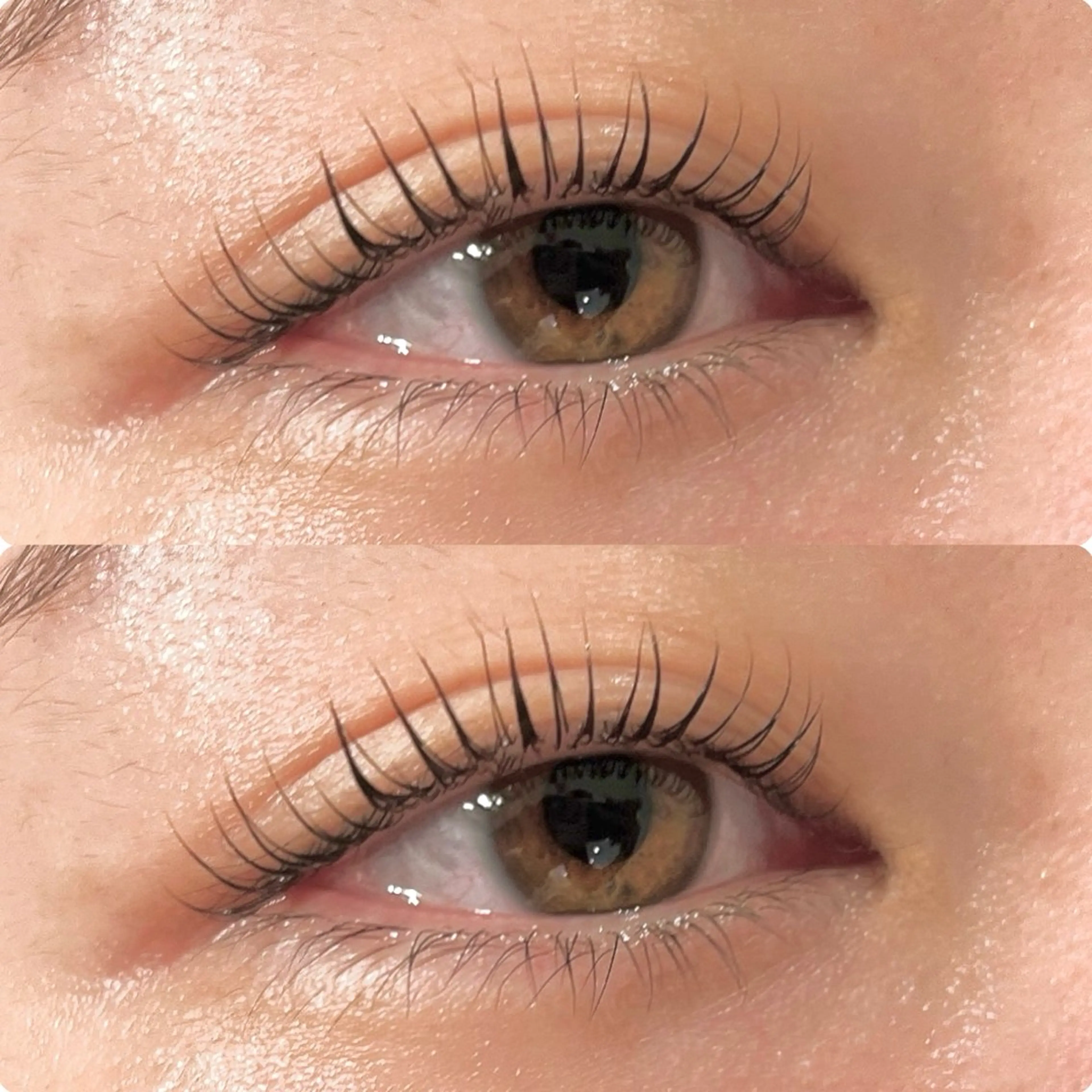 🫧新規🫧まつ毛パーマの写真