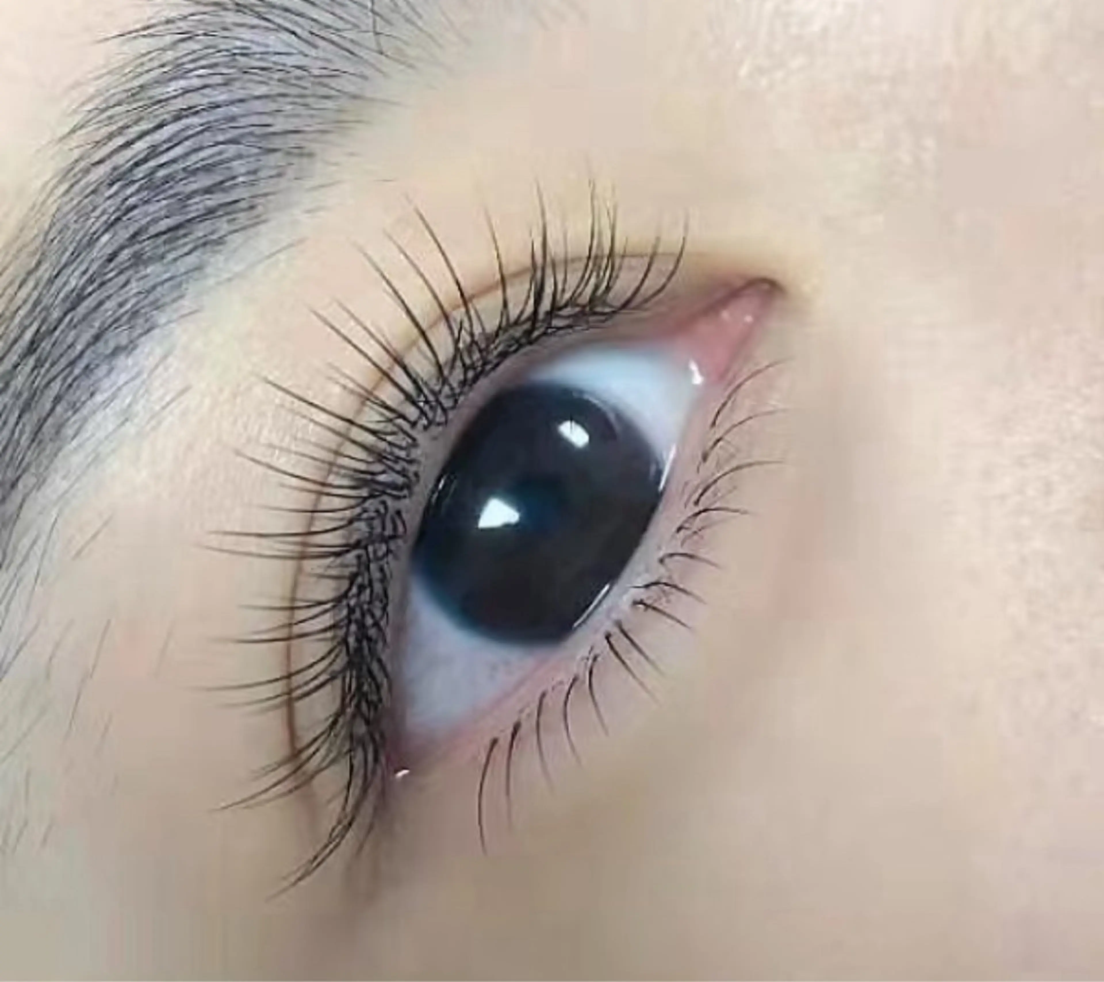 🧡土日10​〜​16時限定　ネイルシンプル持ち込みデザイン&LEDフラットラッシュ120本セット　ご新規の方ジェルオフ無料の写真