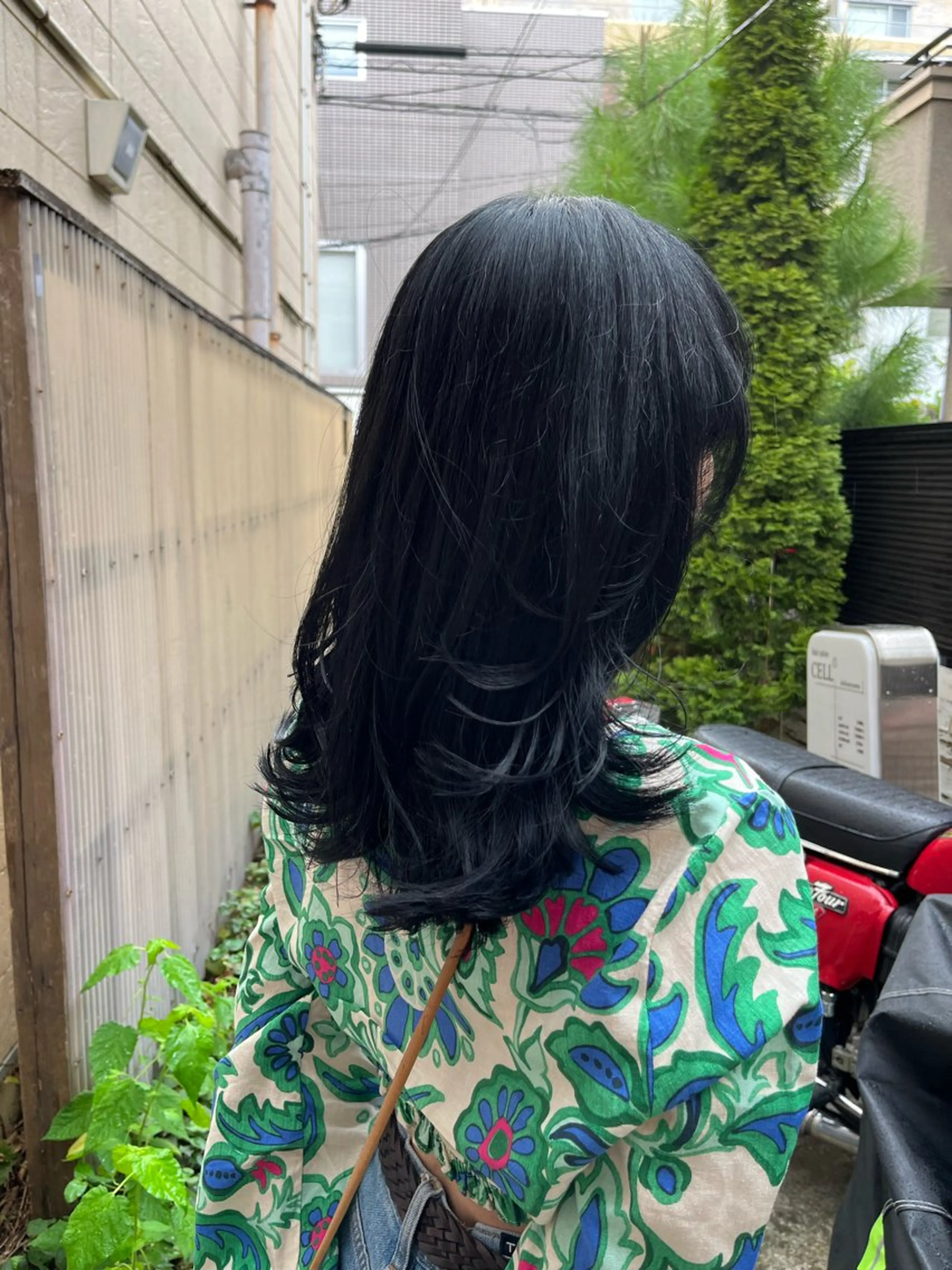 ワンカラー🦖(ロング料金なし)の写真