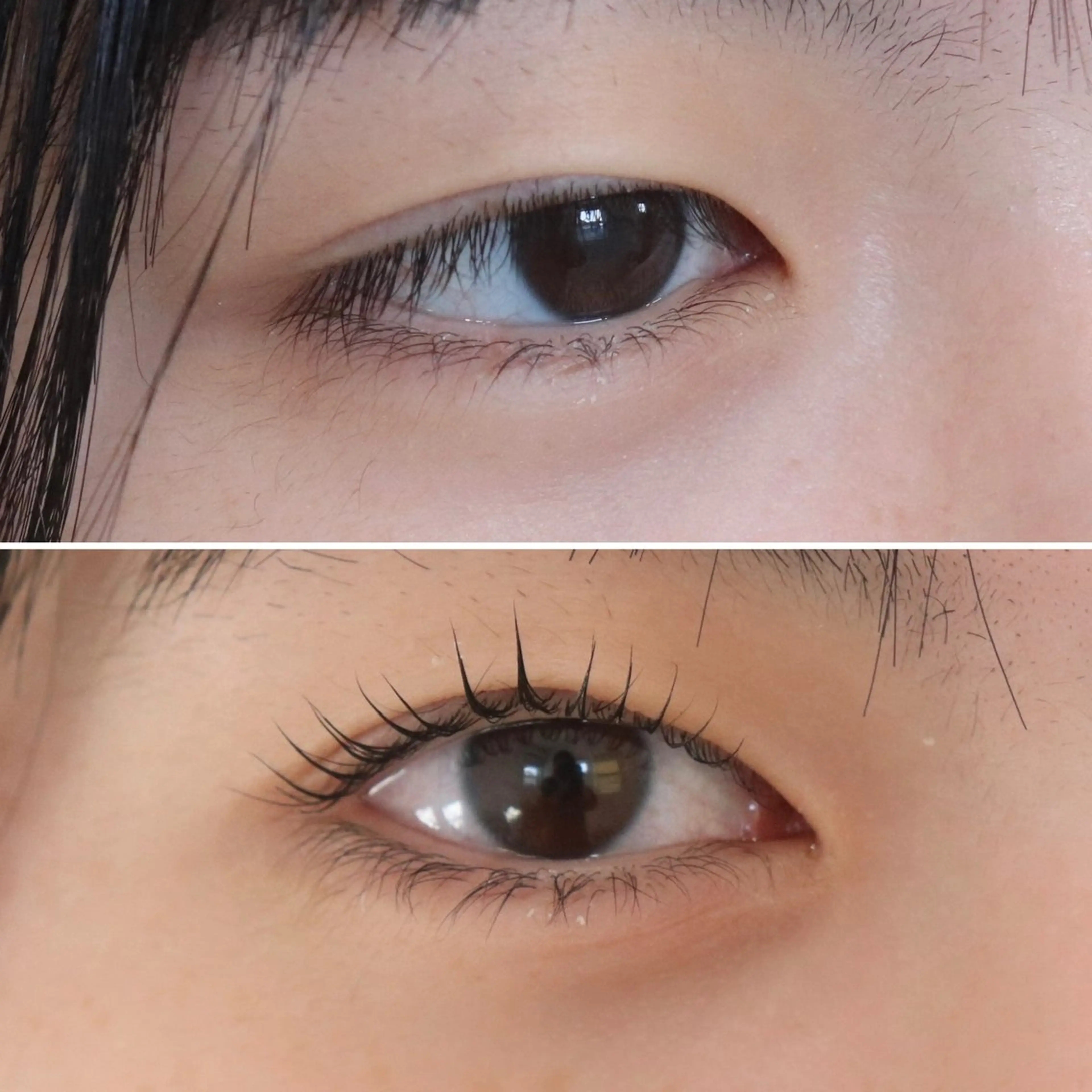 まつ毛パーマ＋ブラックティントの写真