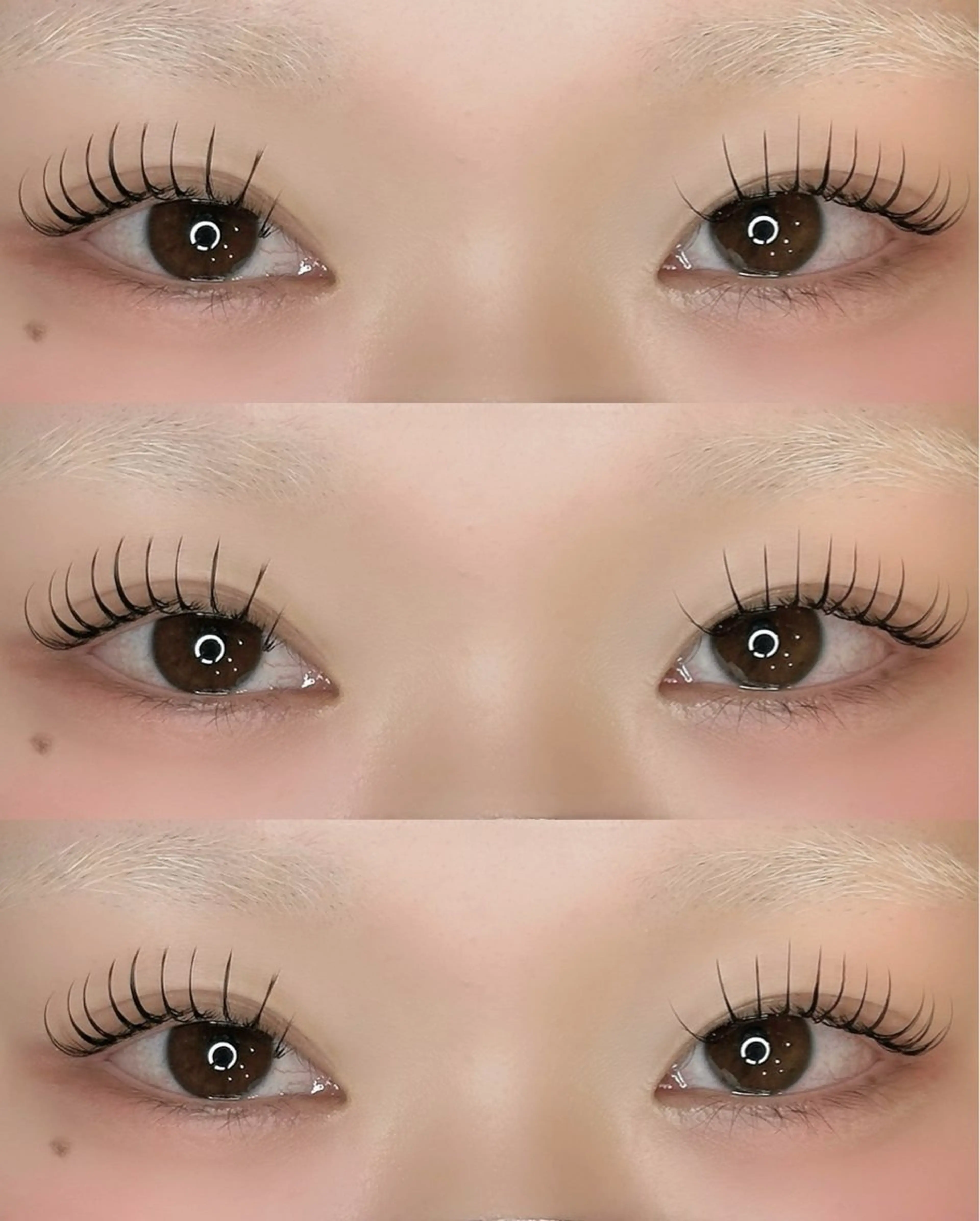 フラットラッシュ100本🌿 オフ無料の写真