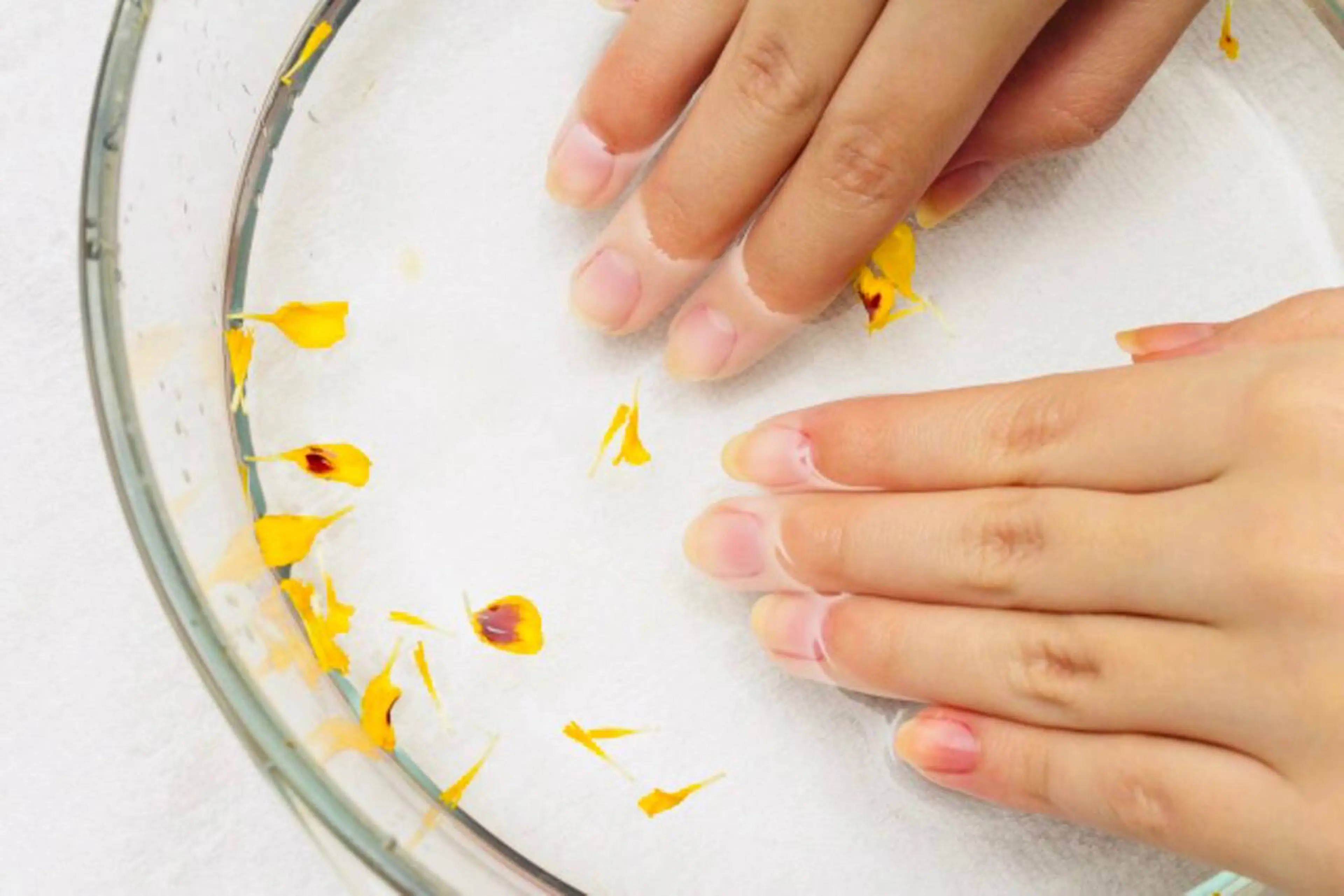 ☆オフのみ☆の写真