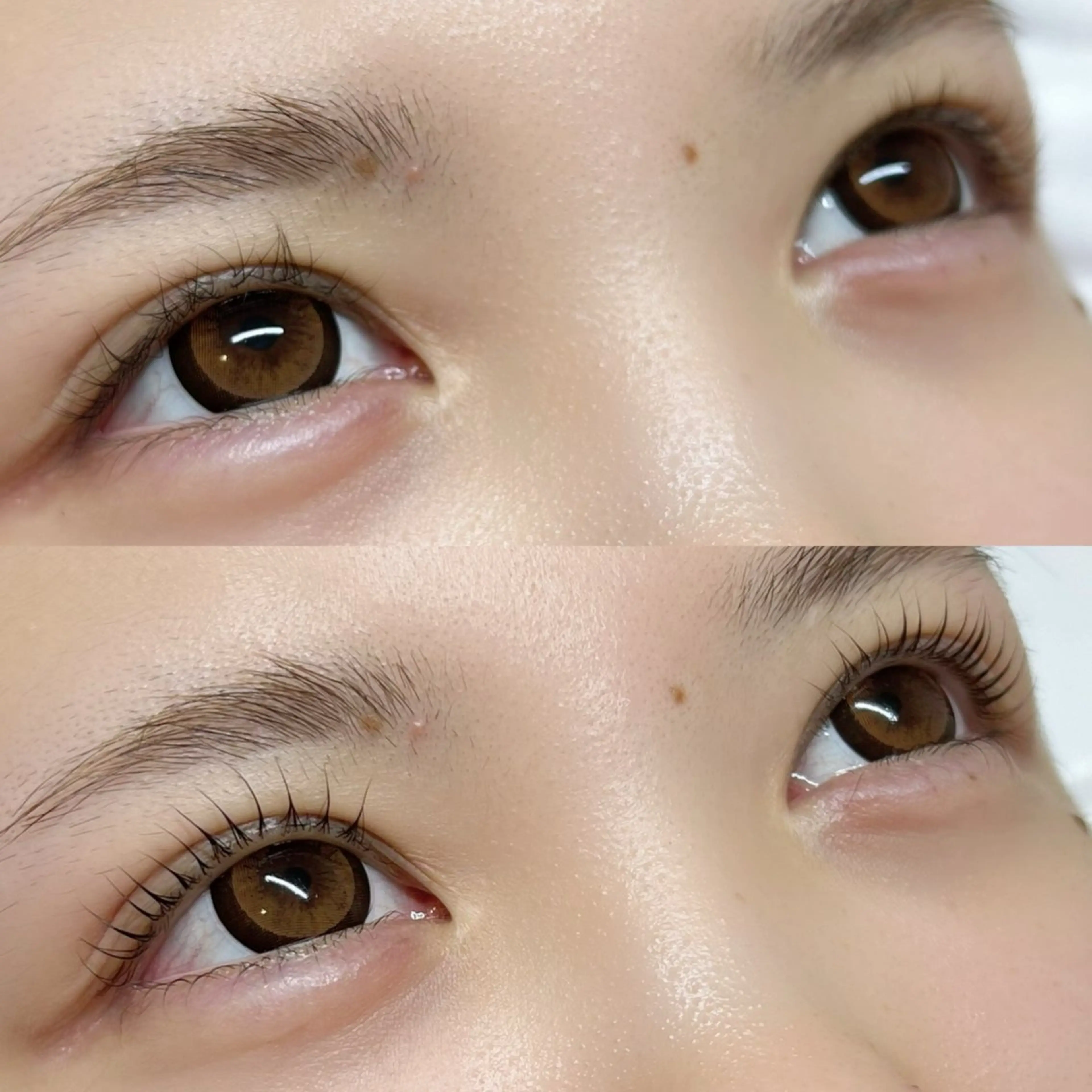 マツエク・マツパ まつげパーマ マツパ 恵比寿駅4分🩶 垢抜け眉&まつ毛🫧の眉毛・アイブロウイメージ