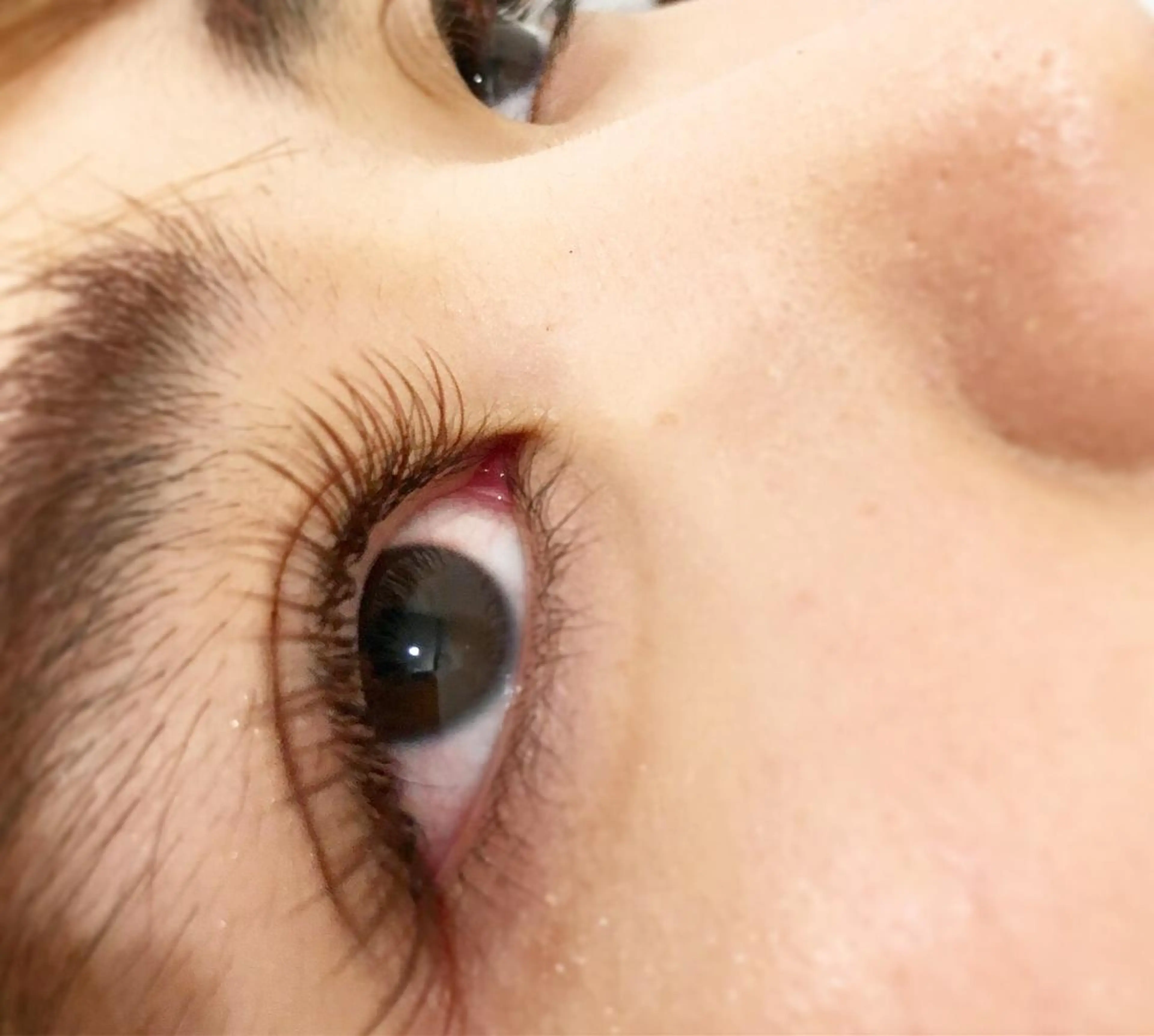 マツエク・マツパ カラーマツエク Pucca Fukuokaのマツエク・マツパデザイン