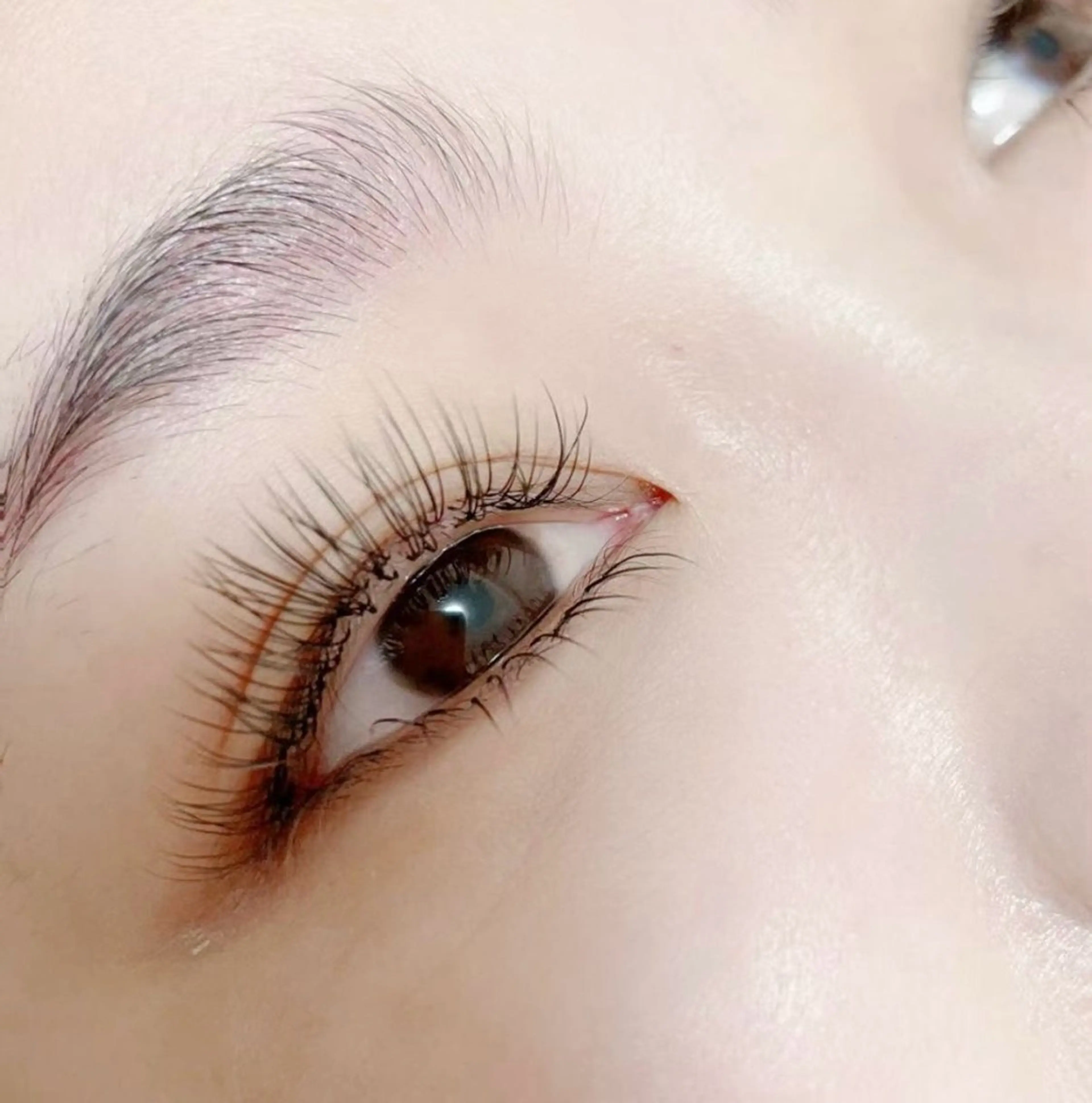 【L カールラッシュ】最新★史上最強持続力フラットラッシュ★100本5000の写真