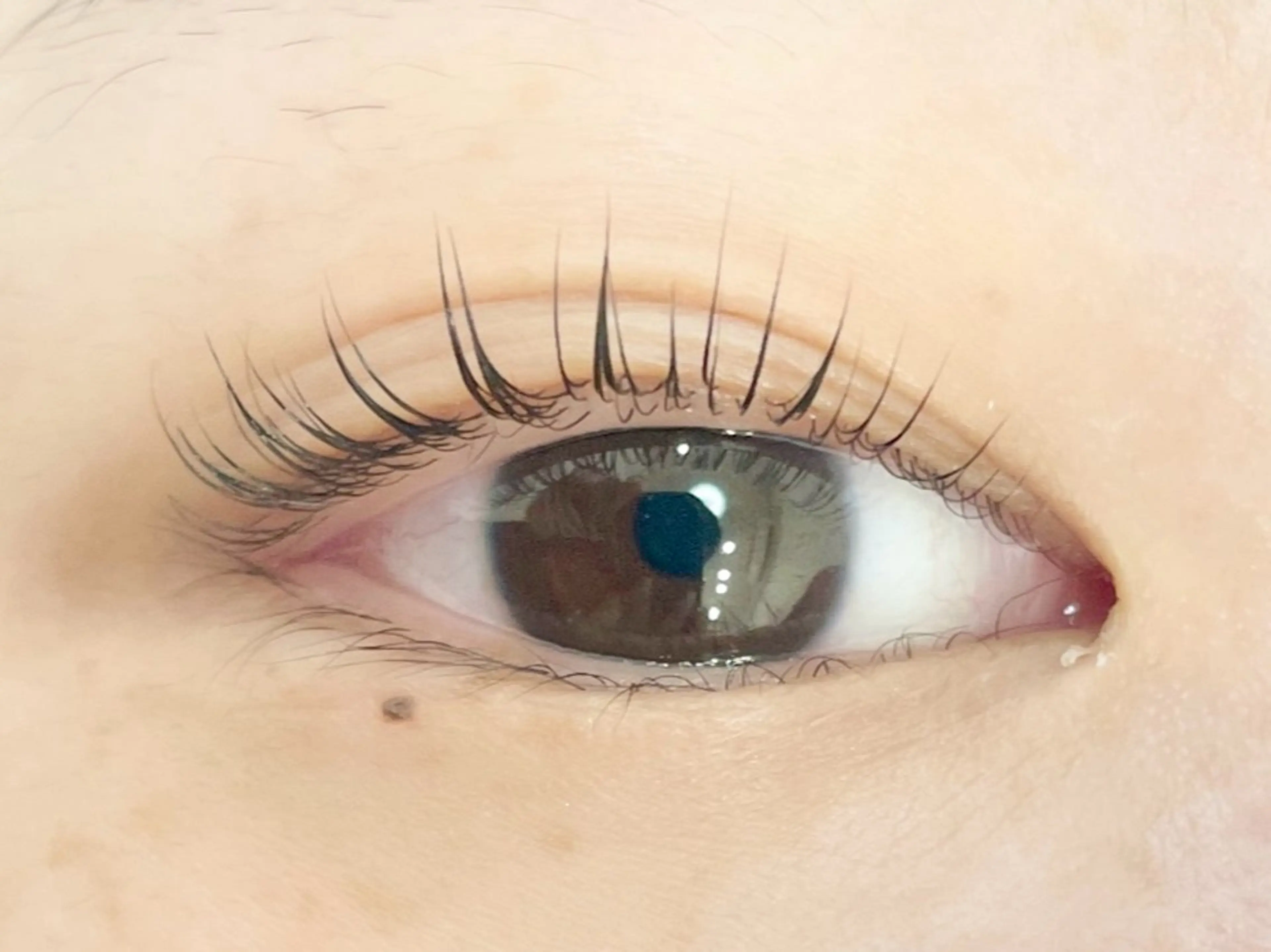 マツエク・マツパ マツパ Lien 川崎店【リアン】所属・LUANATOKYO 🫧武蔵小杉のマツエク・マツパデザイン