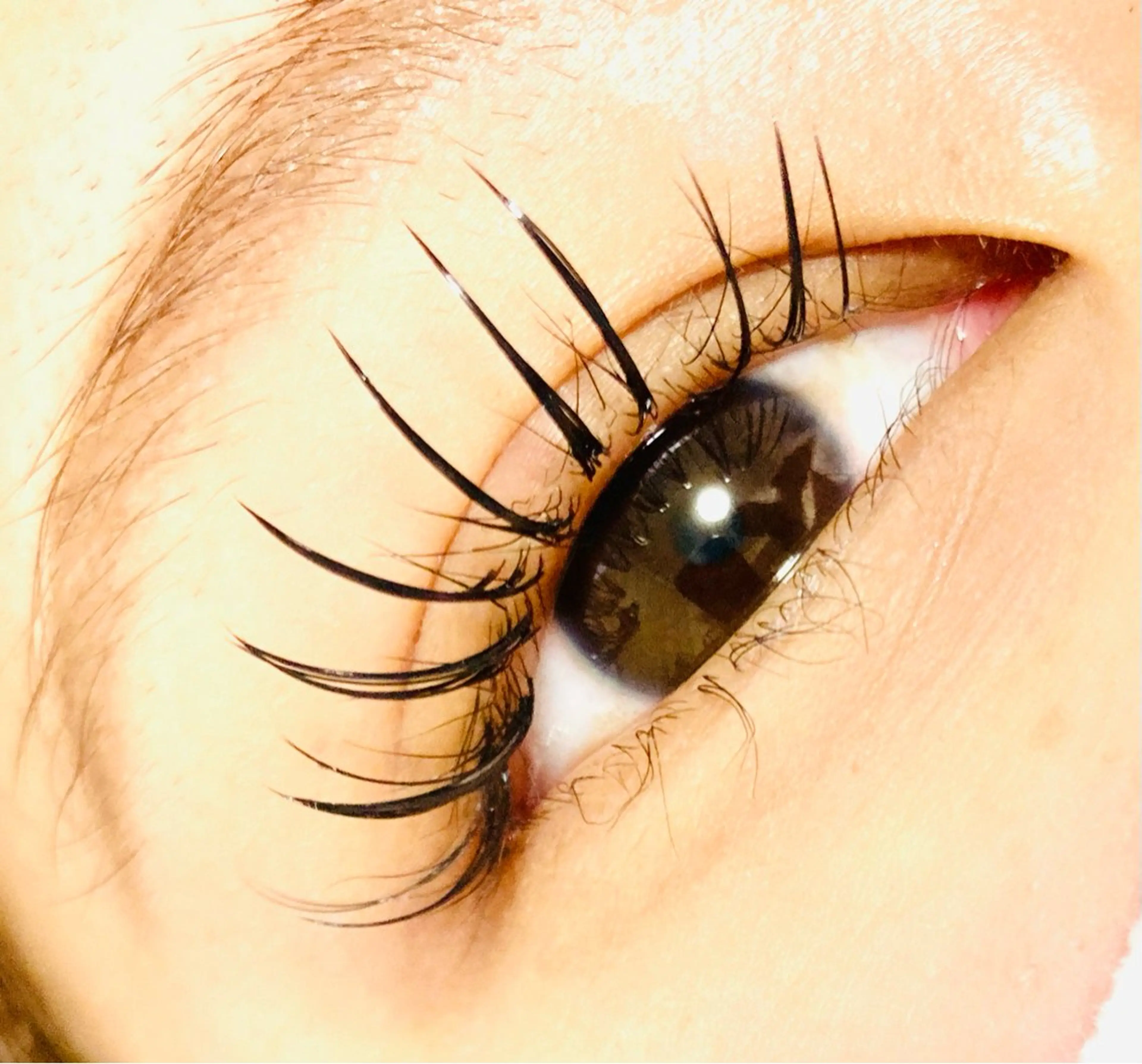 マツエク・マツパ Cカール キュート フラットラッシュ アイ❤️ カールのマツエク・マツパデザイン