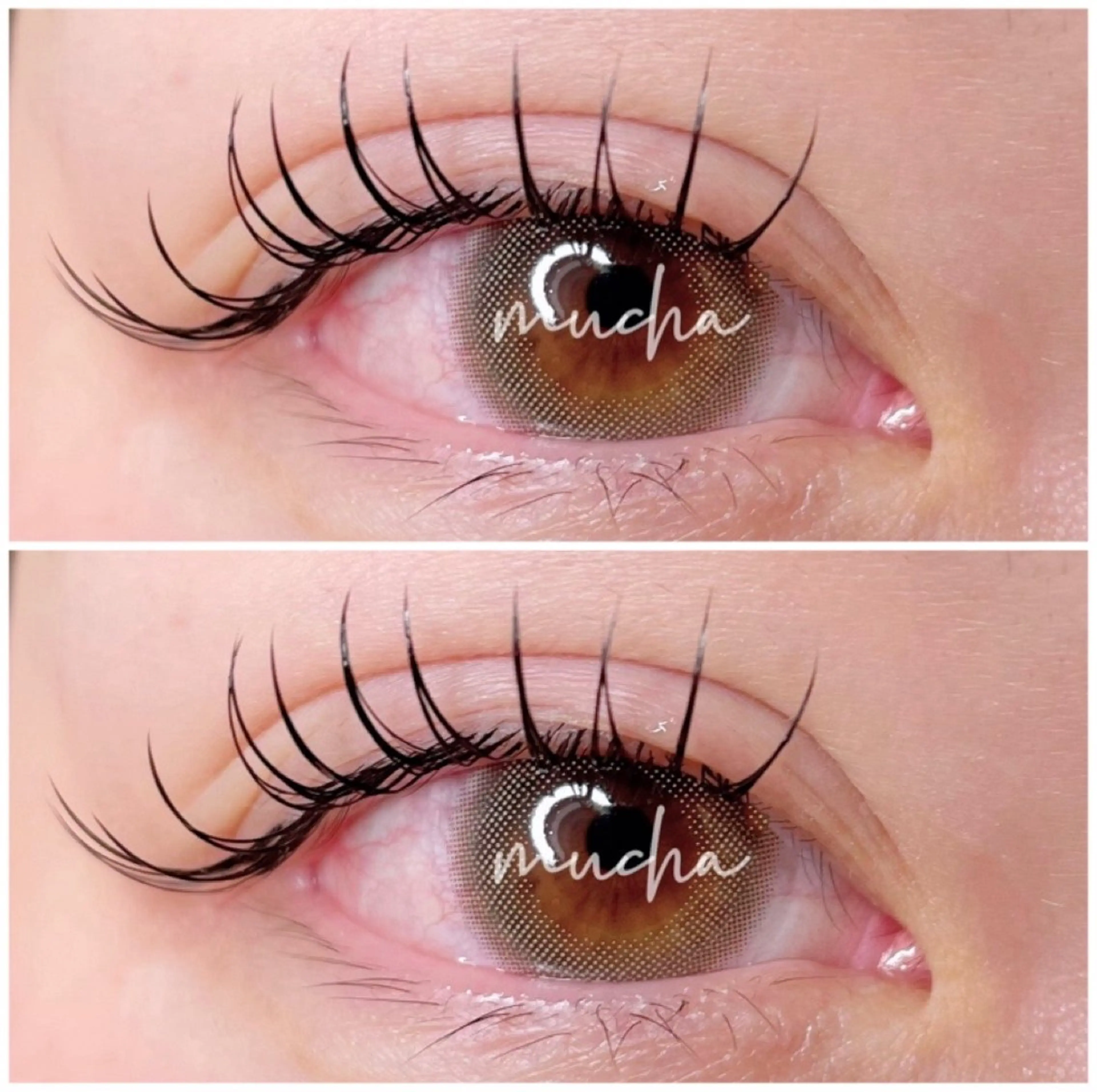 マツエク・マツパ マツエク eyelash muchaのマツエク・マツパデザイン
