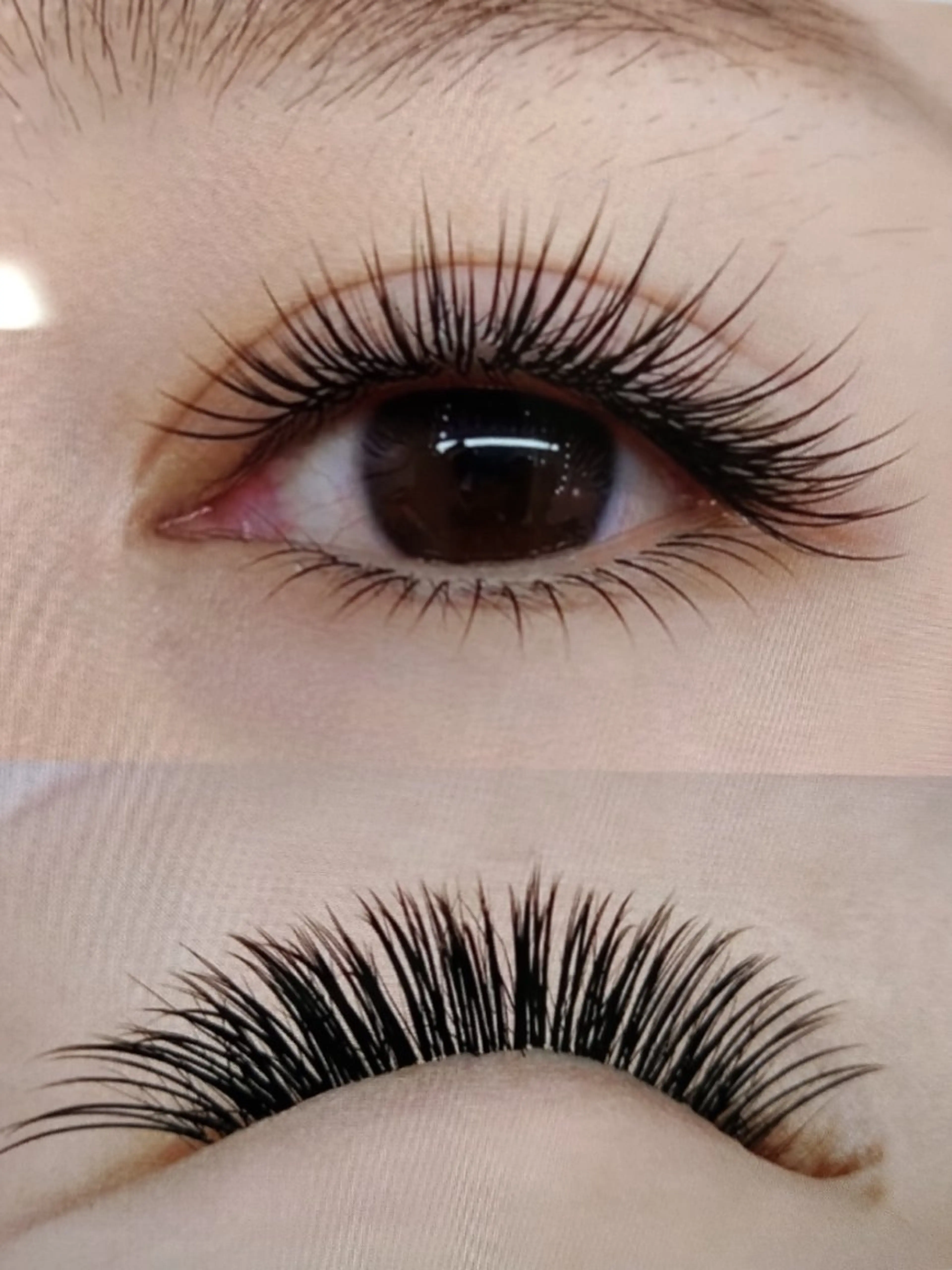 フラットラッシュ120本3800の写真