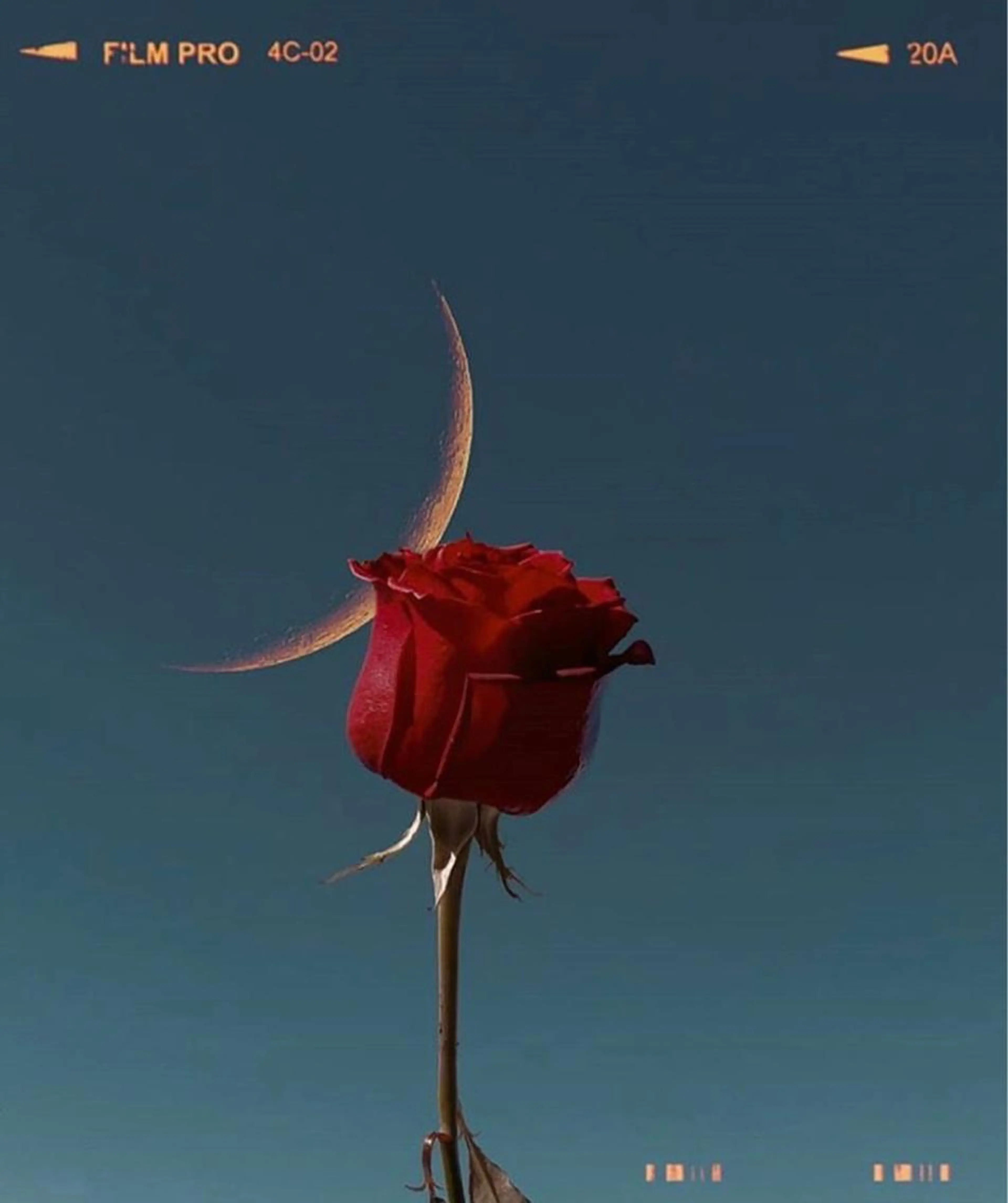 ☁️アイブロウスタイリング×パリジェンヌラッシュリフト☁️の写真