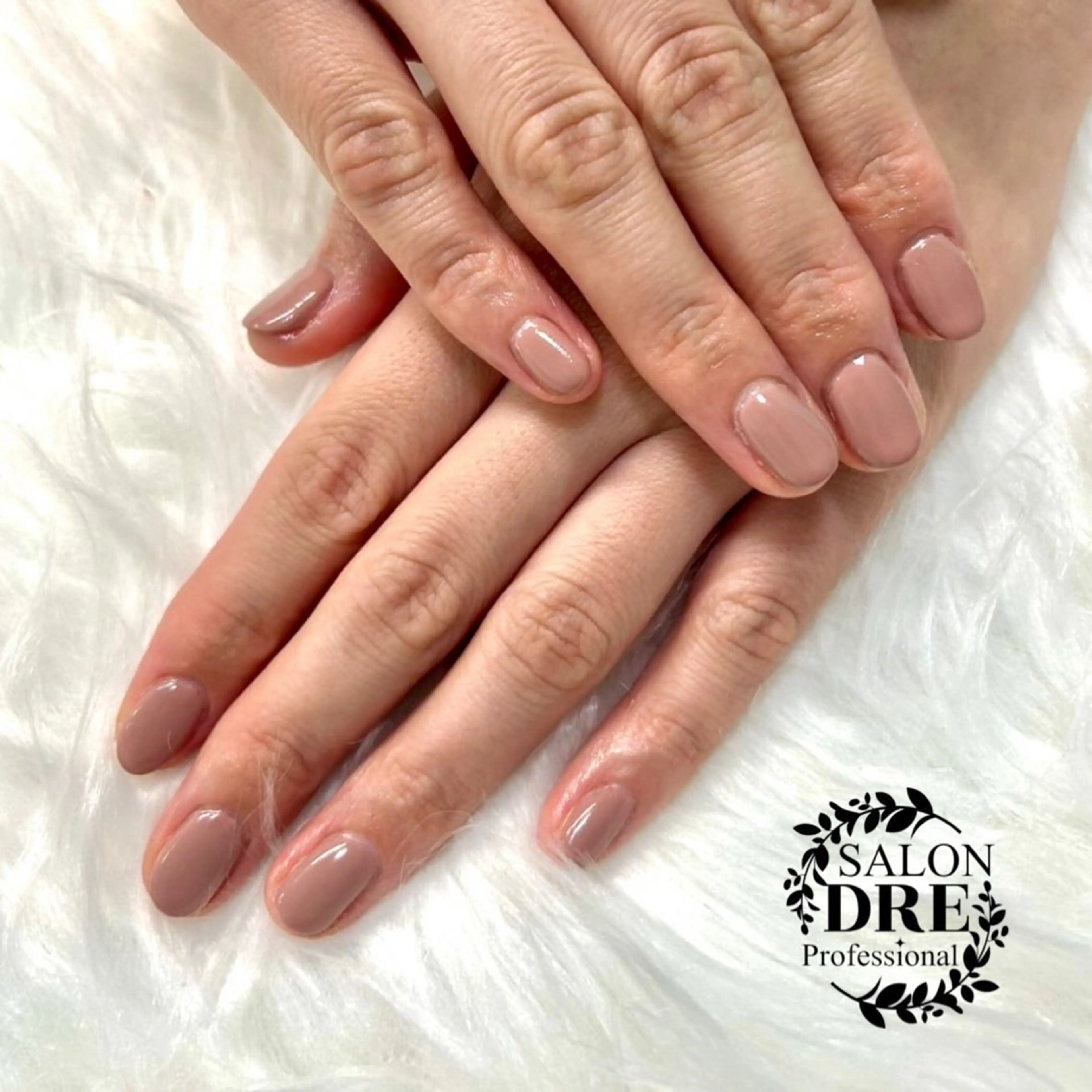 ワンカラーの写真