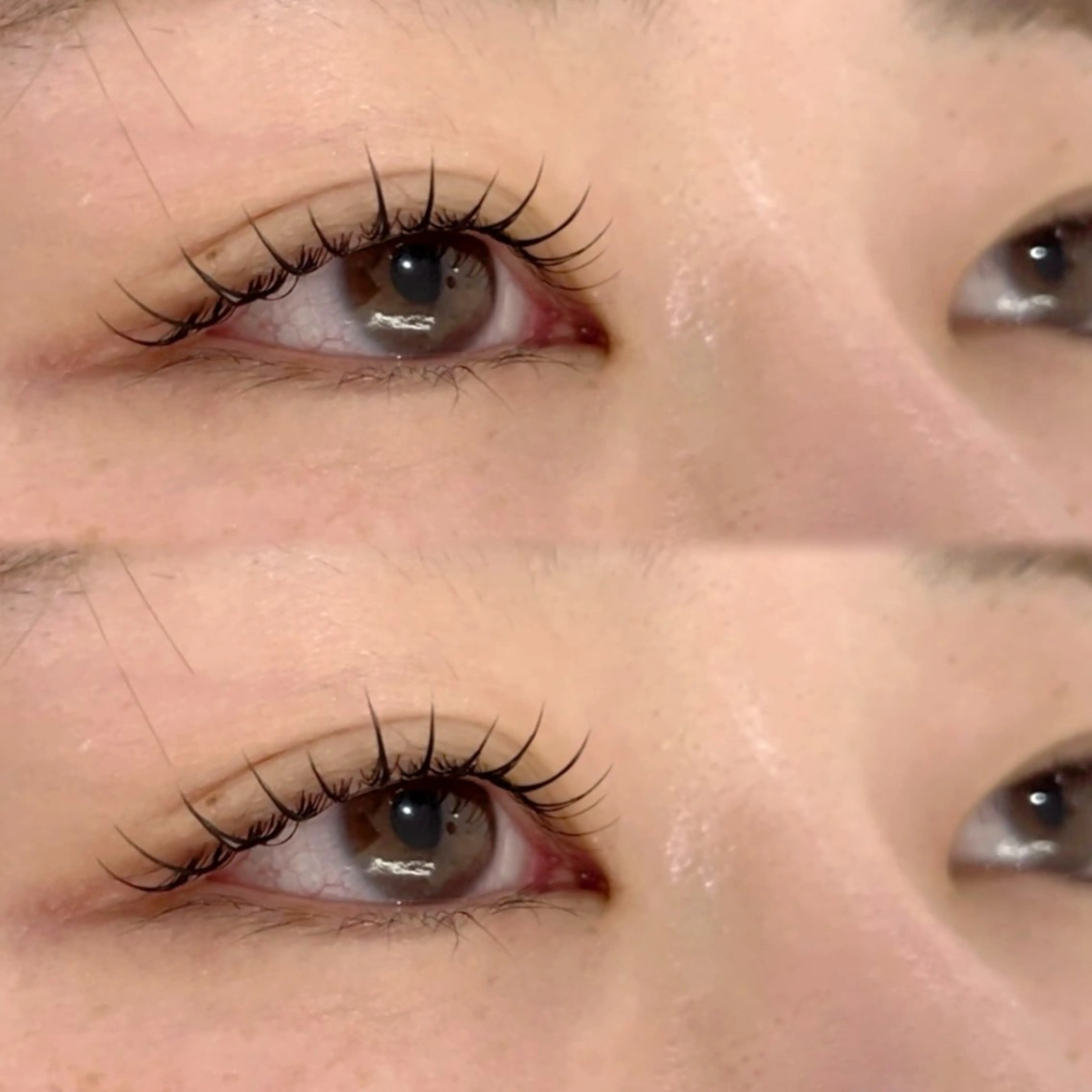 マツエク・マツパ 一重×まつ毛パーマ マツパ DL•BEAUTY / COCOLOのマツエク・マツパデザイン