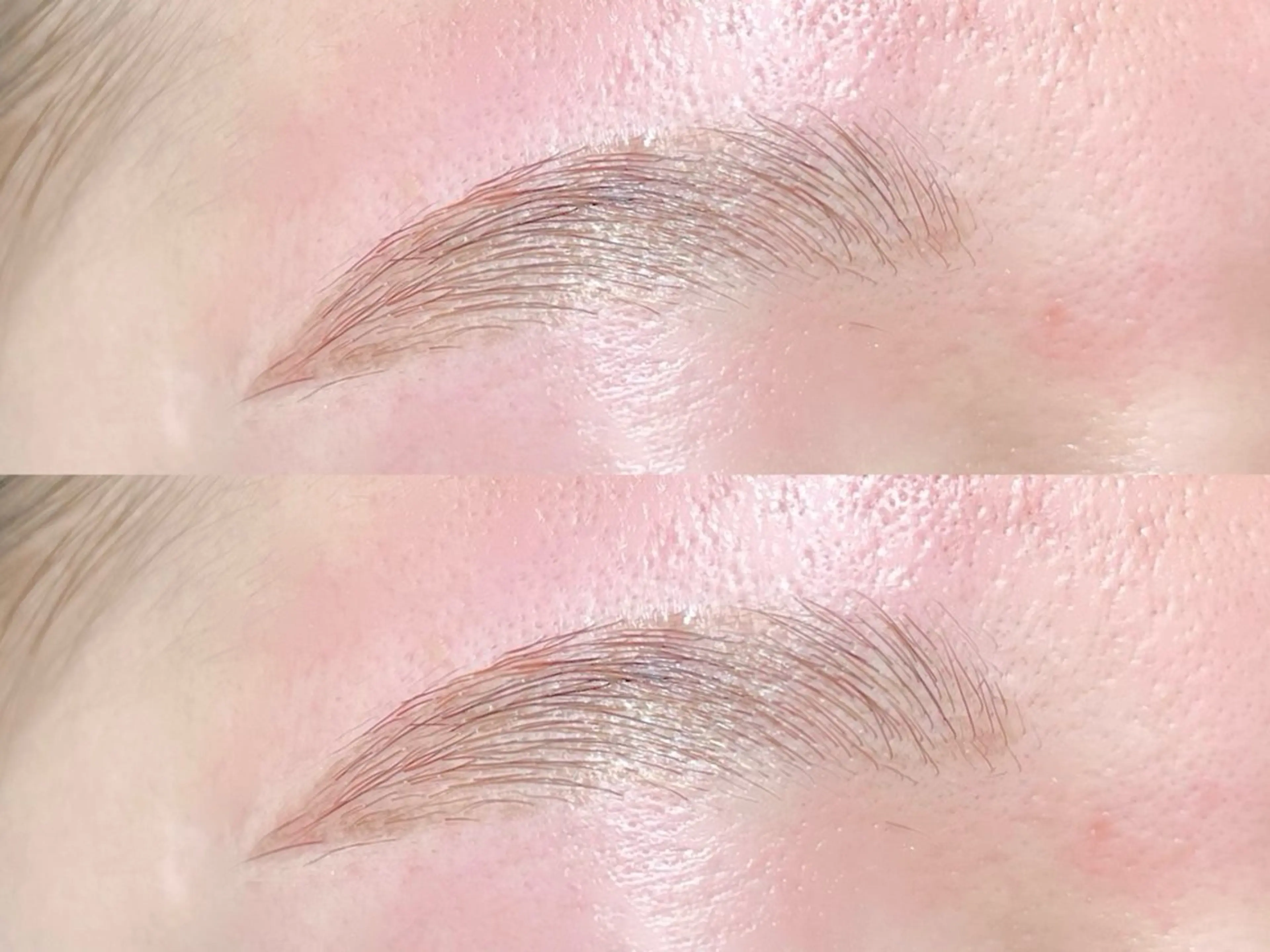 アイブロウ 眉毛ワックス脱毛 eyelash&eyebrow Erde所属・Erde/ horizoe🕊️の眉毛・アイブロウイメージ