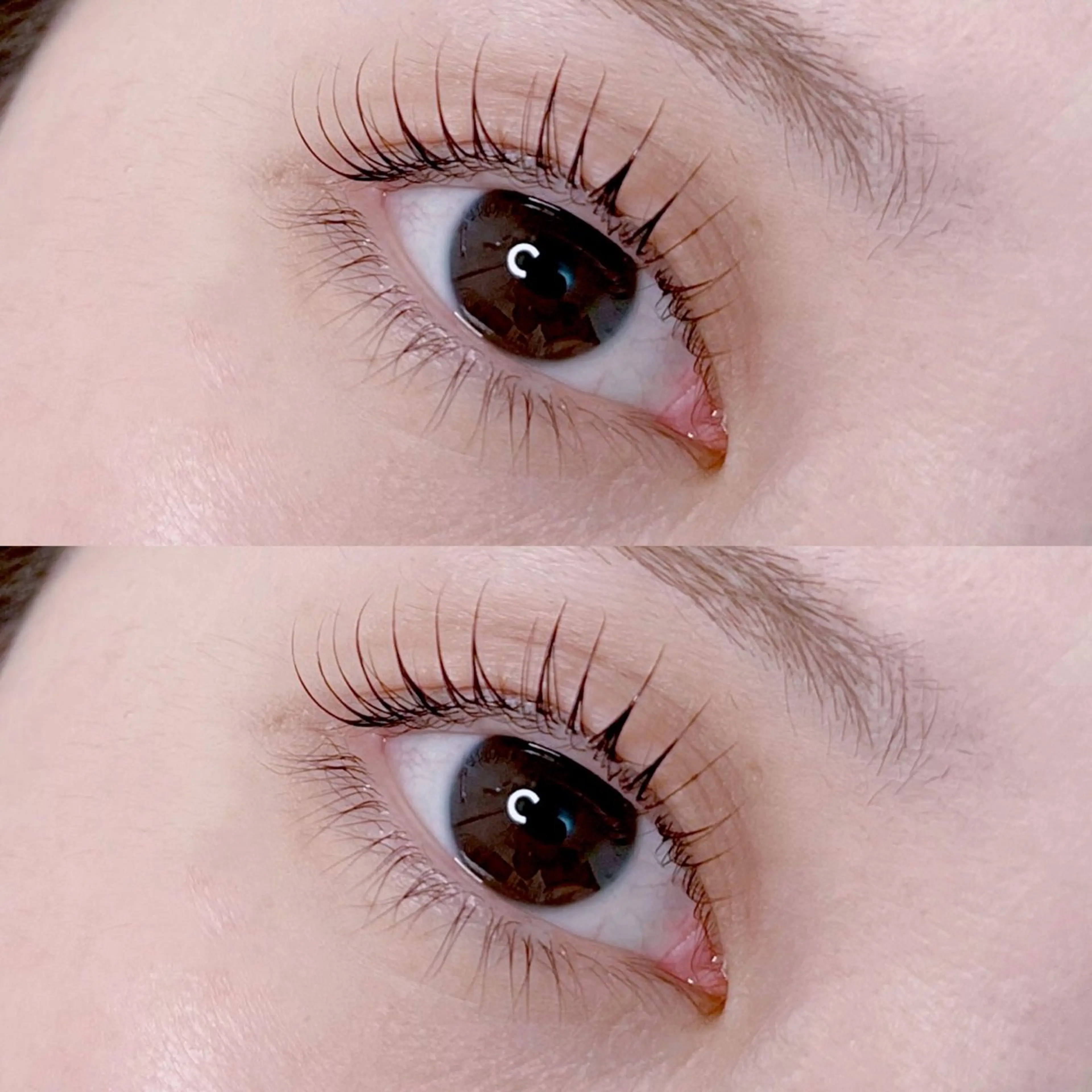 マツエク・マツパ Lilio Yuriのエステ・リラクイメージ