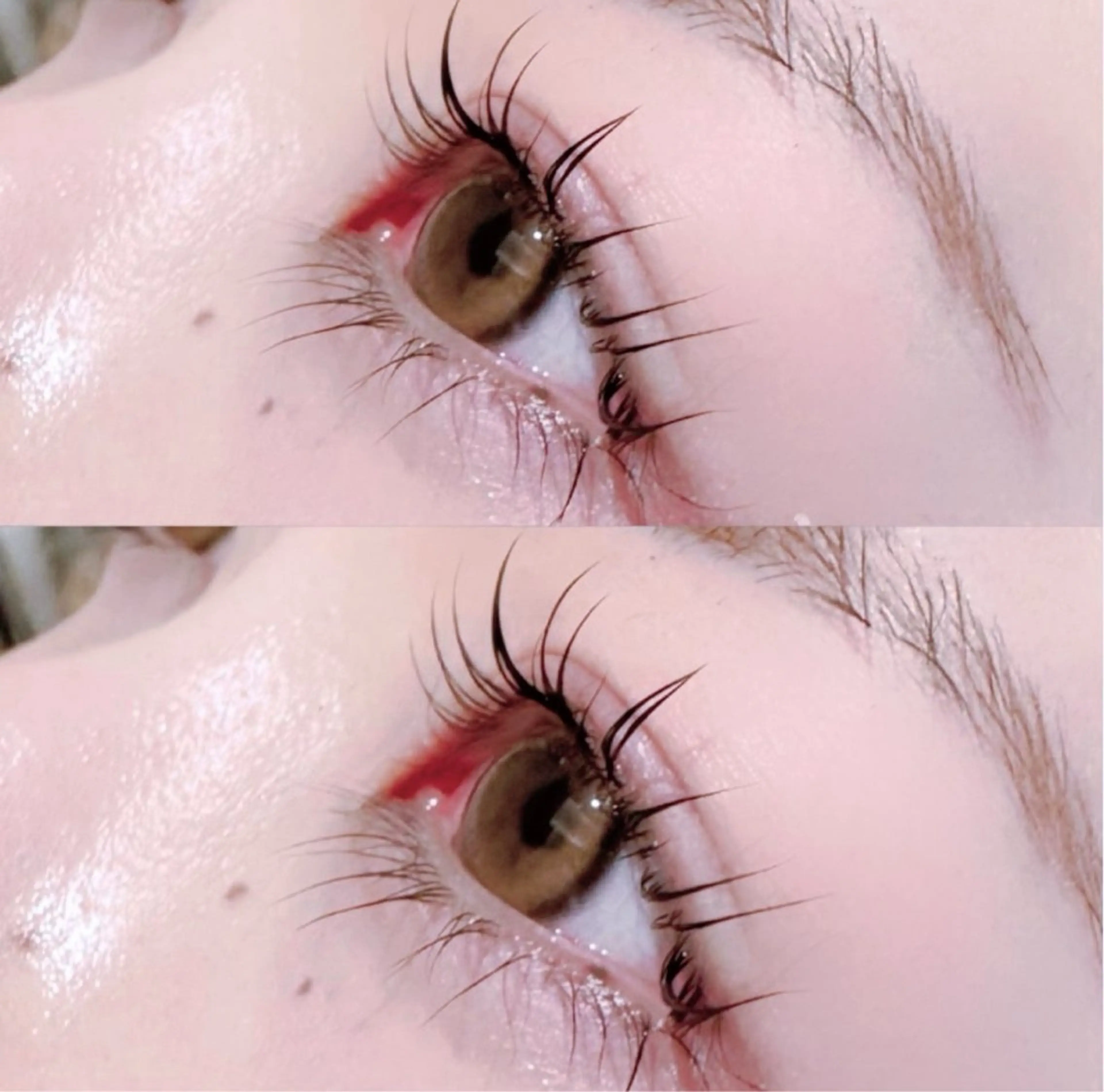 【リピーター様限定】パリジェンヌラッシュリフト×アイブロウ⭐️4STEPトリートメント➕アイシャンプー➕美容液⭐️の写真