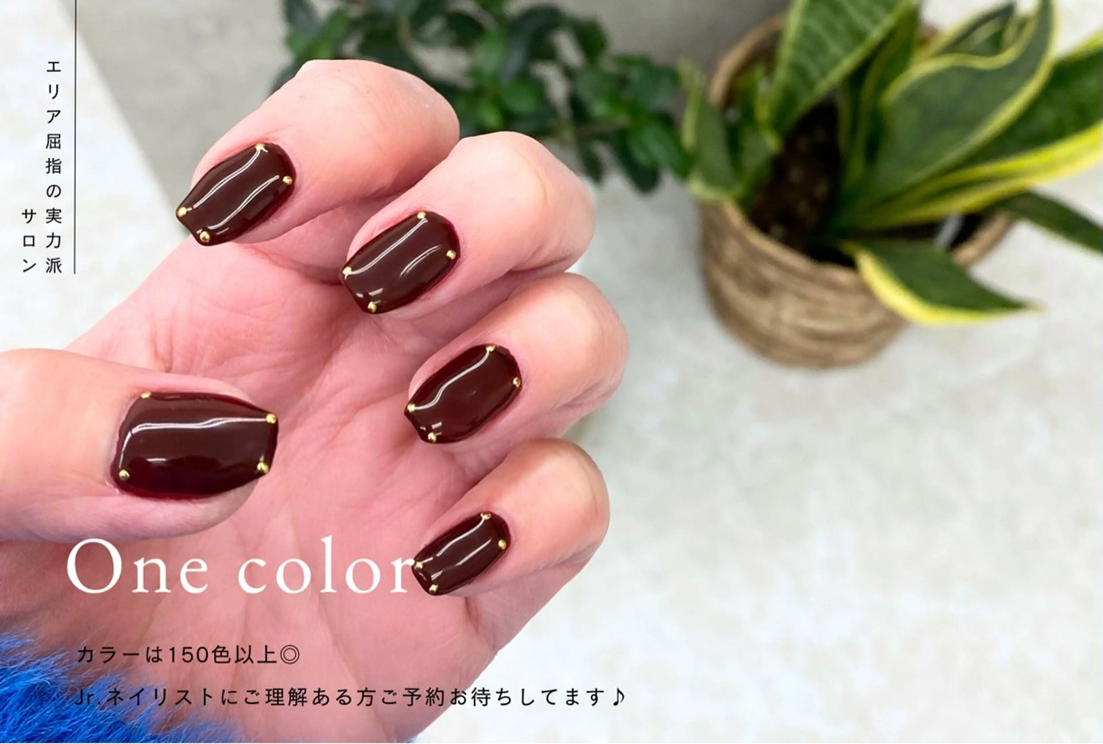 🫧オフ無料🆓🫧ワンカラー💅✨【土日・21時以降＋1100円】の写真