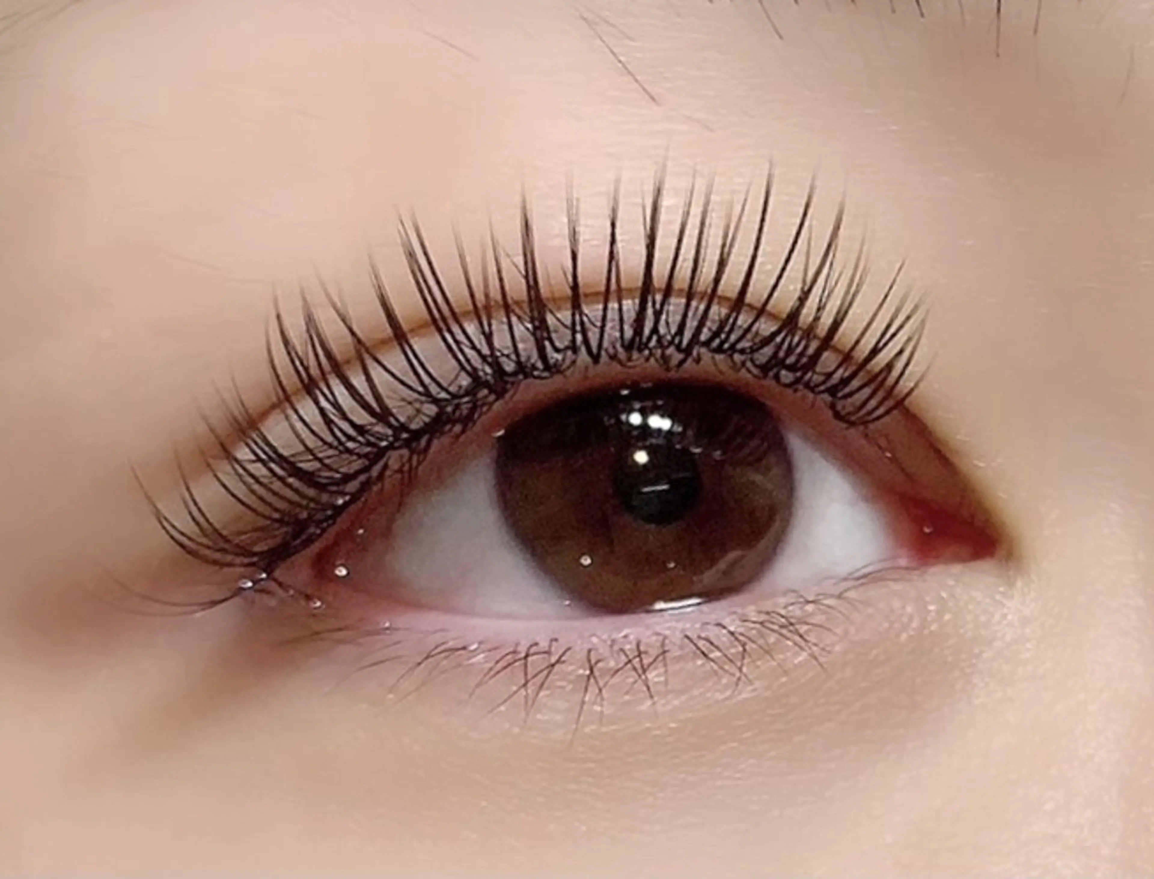 《パーフェクトラッシュ120本》オフ代別(自店550円、他店1,100円)の写真