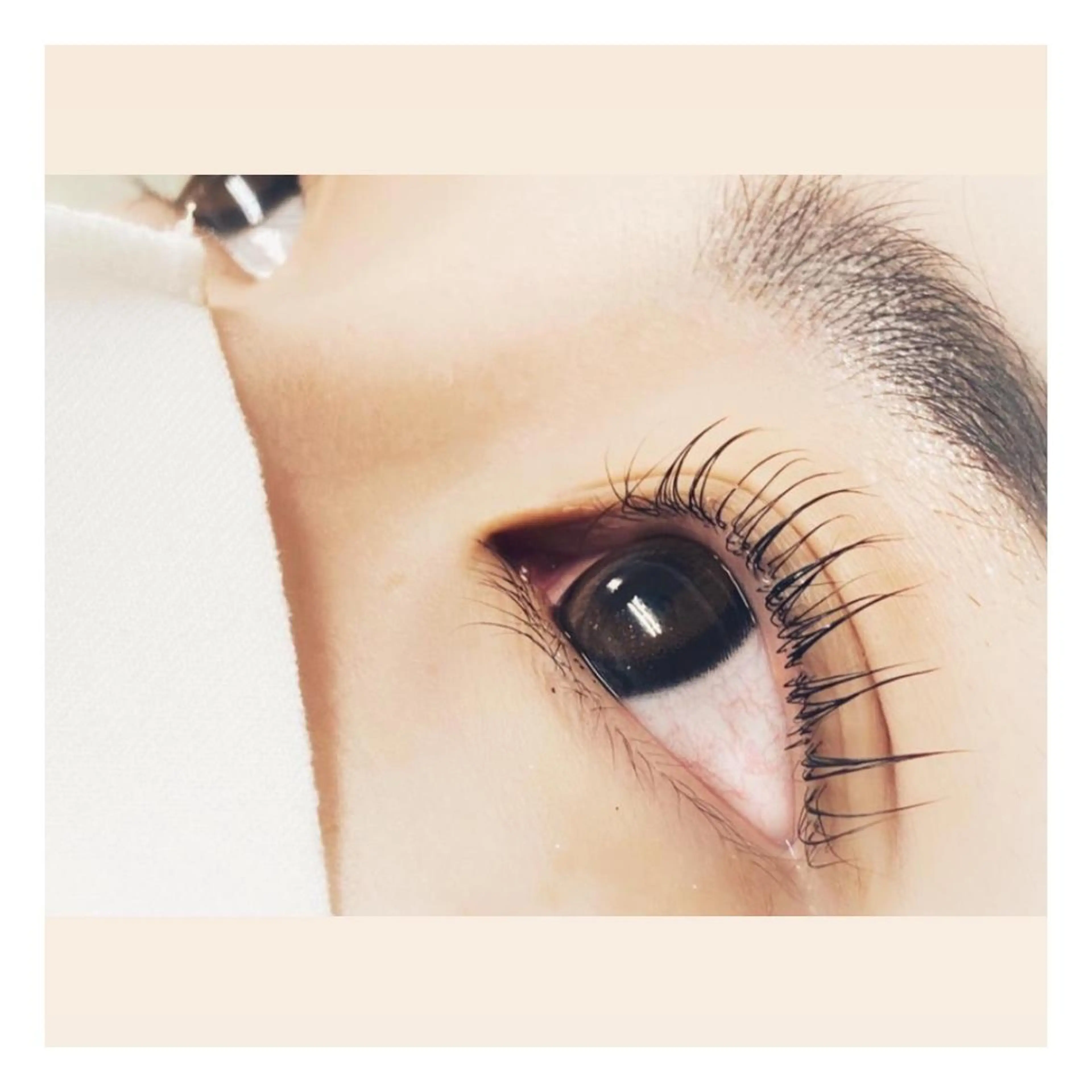 パーマ メンズ マツエク・マツパ マツパ MAHALO 𓆉の眉毛・アイブロウイメージ