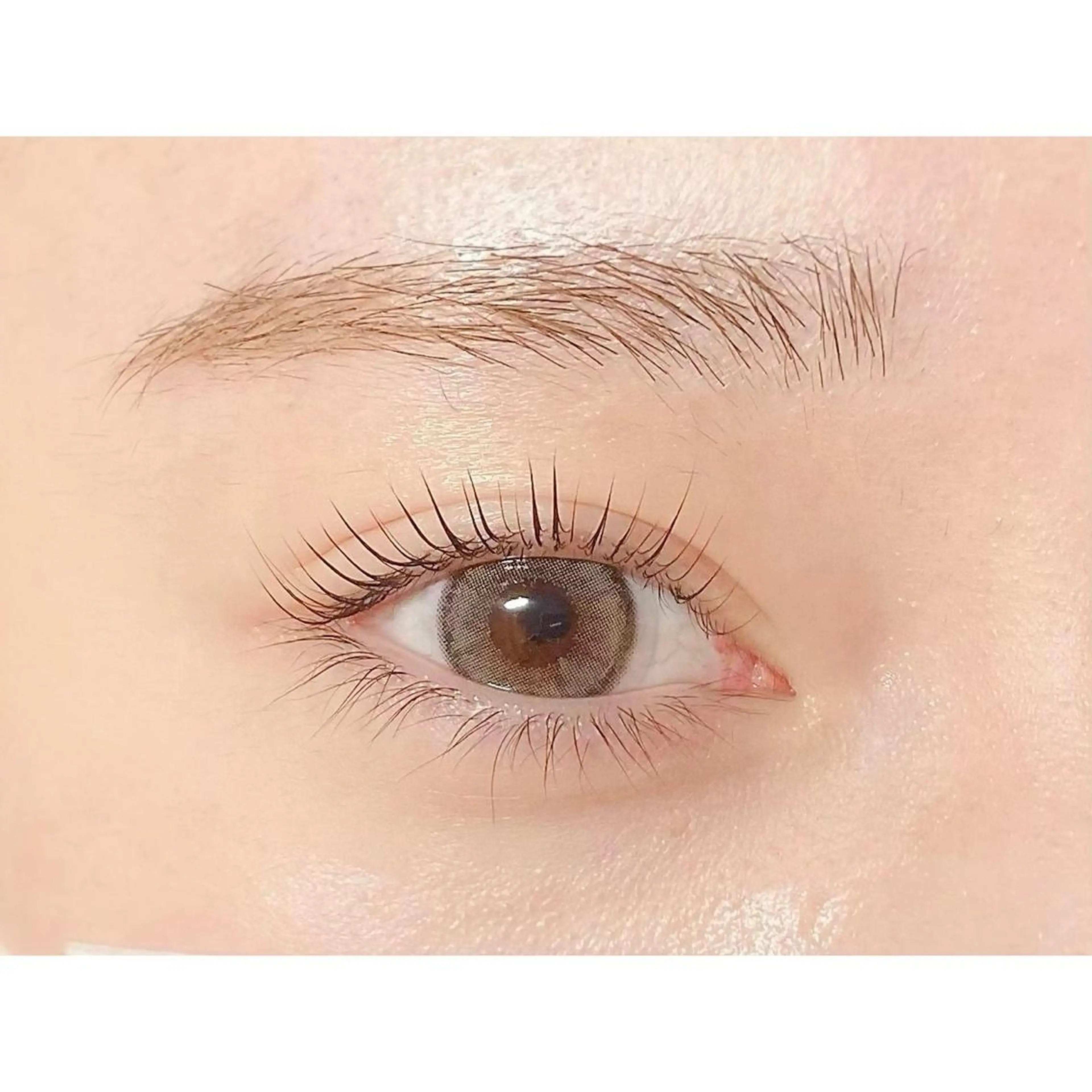 マツエク・マツパ フラットラッシュ パリジェンヌラッシュリフト 下まつげエクステ マツパ salon de beauteJoieの眉毛・アイブロウイメージ