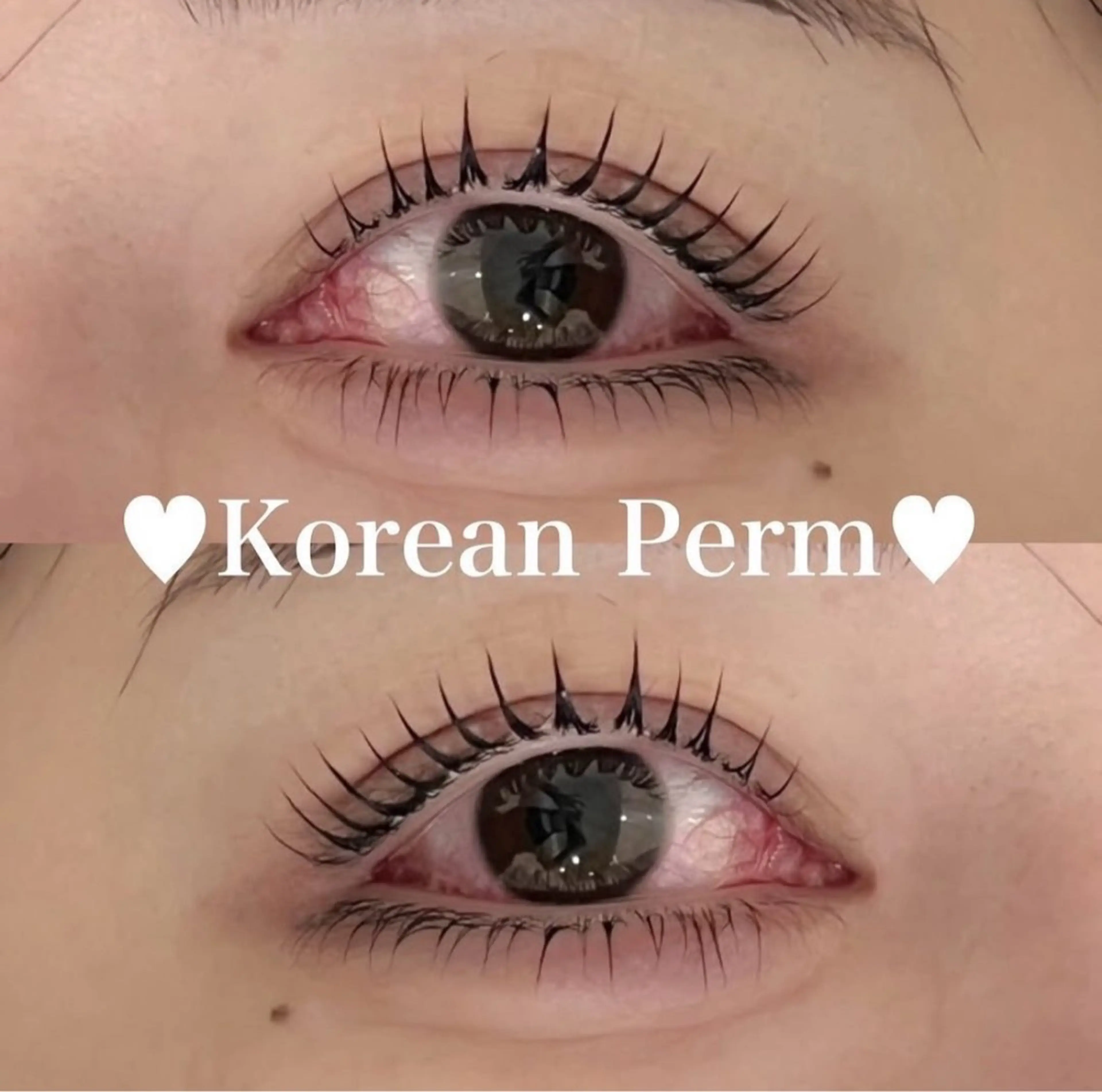 ♡ 上下韓国風パーマ＋美容液 ♡の写真