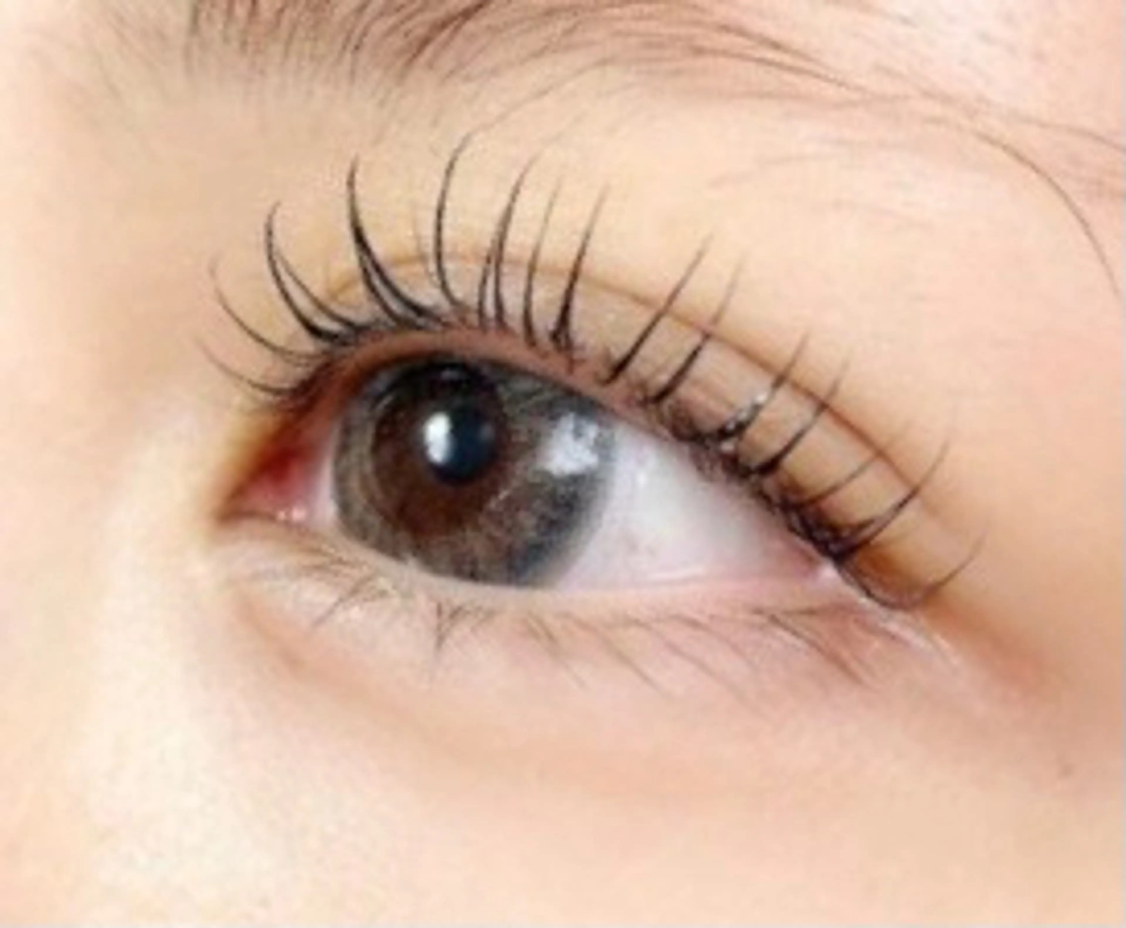 マツエク・マツパ ala アーラのマツエク・マツパデザイン