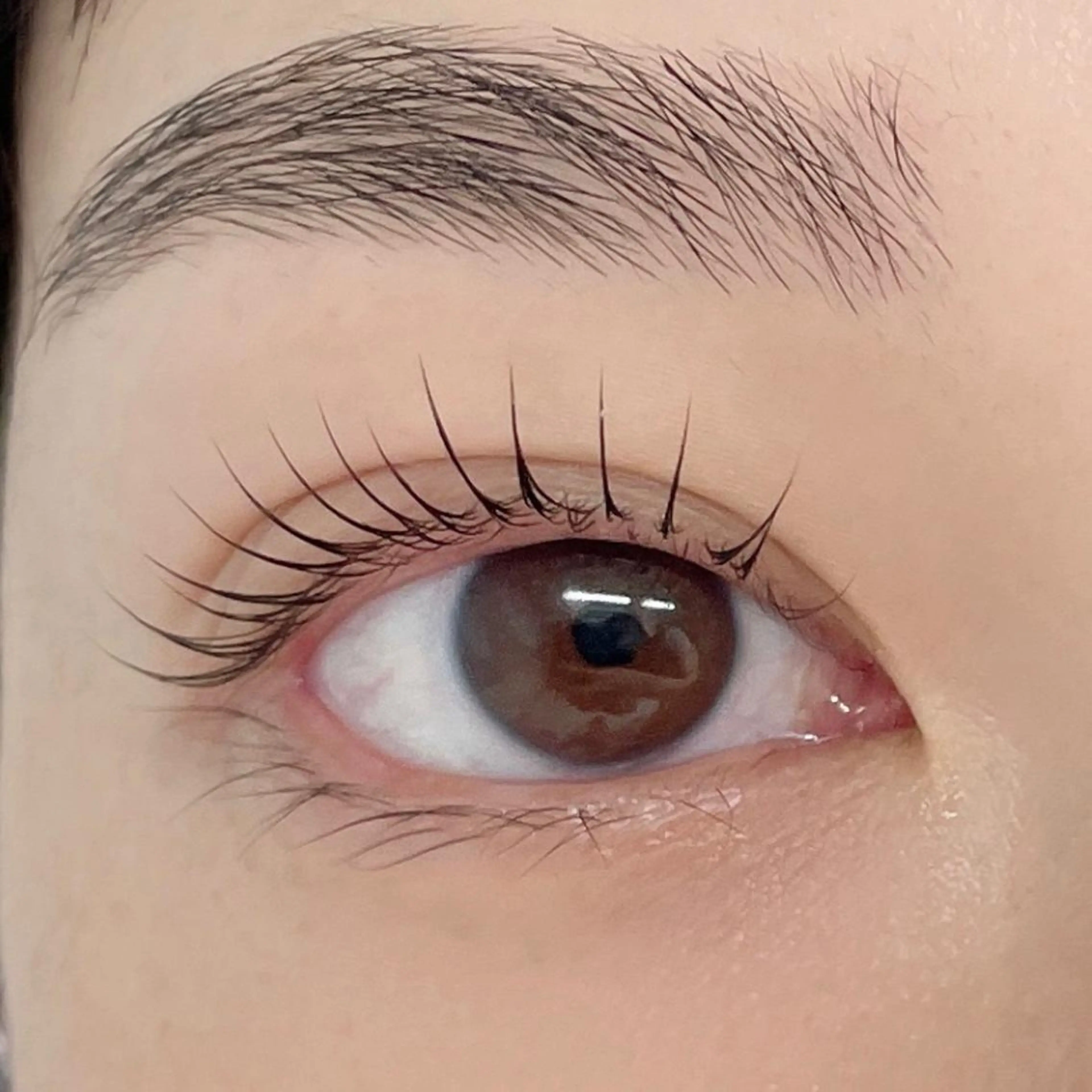 マツエク・マツパ GO TODAY シェアサロン 銀座Eclara店所属・mihiro 銀座まつぱﾏﾂｴｸ眉のマツエク・マツパデザイン