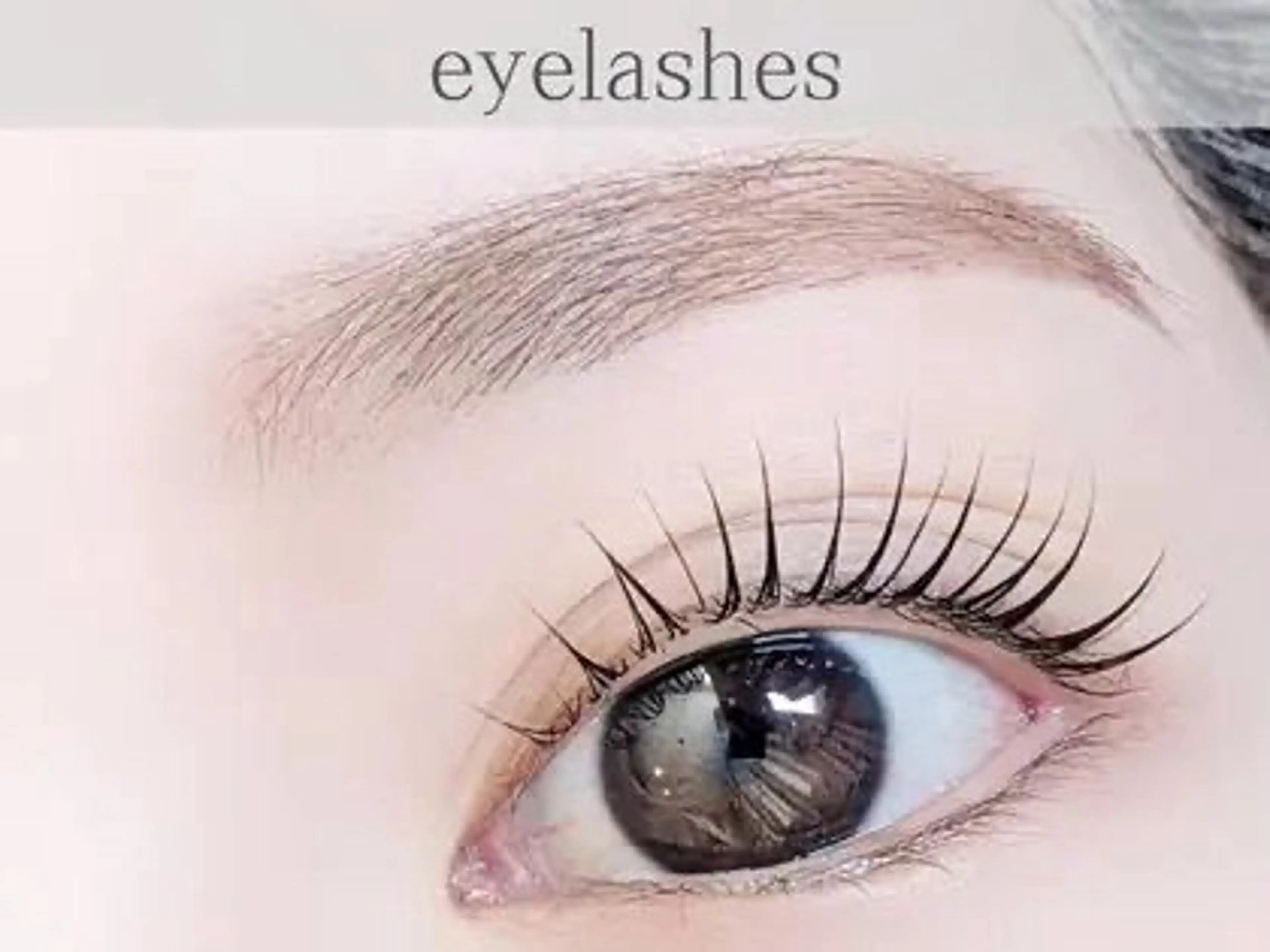 【モデル募集】[まつ毛]]ダブルトリートメント付き!似合わせ&潤いまつ毛パーマ/パリジェンヌラッシュリフトの写真