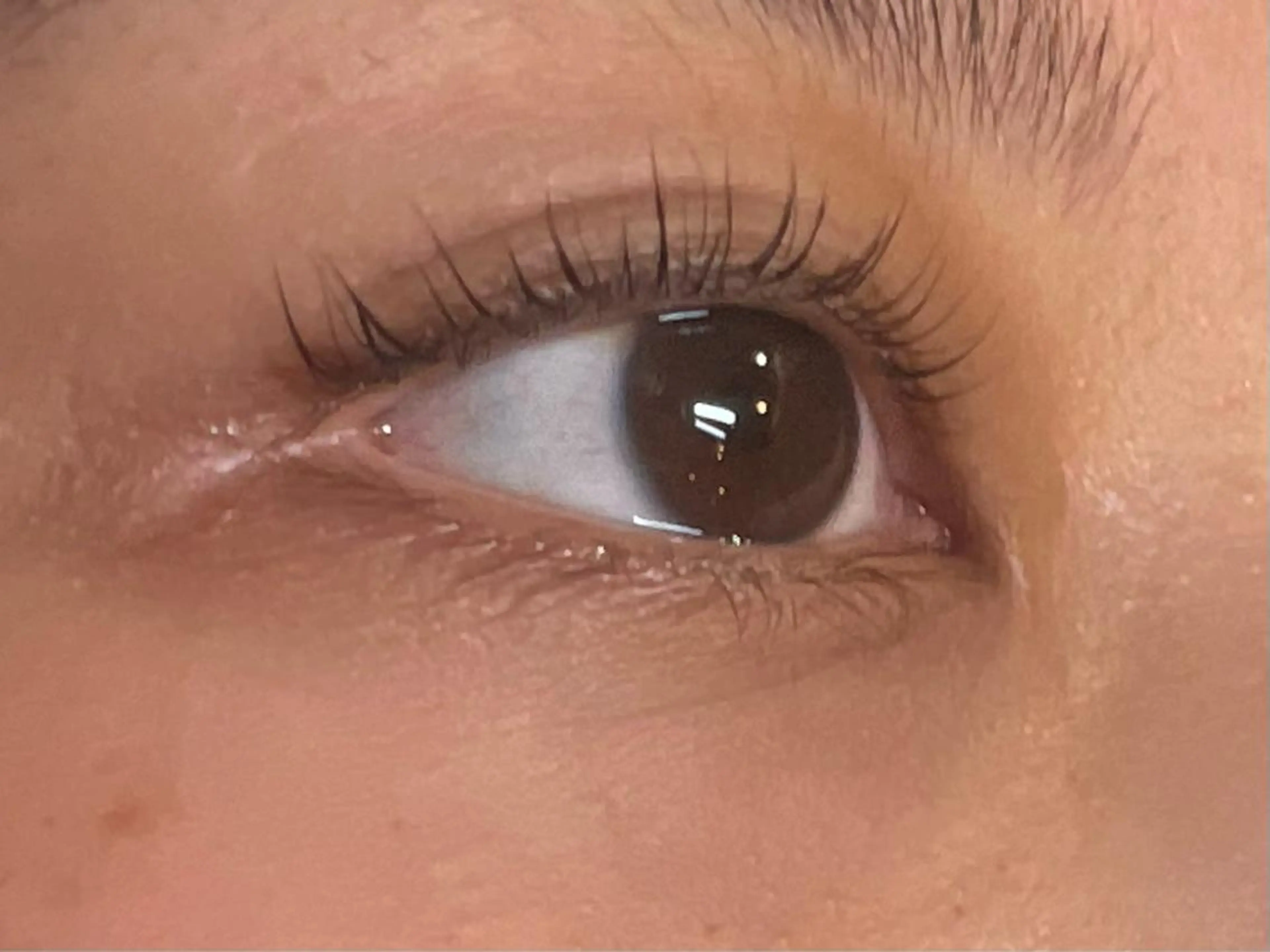 マツエク・マツパ Eyelash Salon Mooo 千葉店所属・笹岡 朋夏のマツエク・マツパデザイン