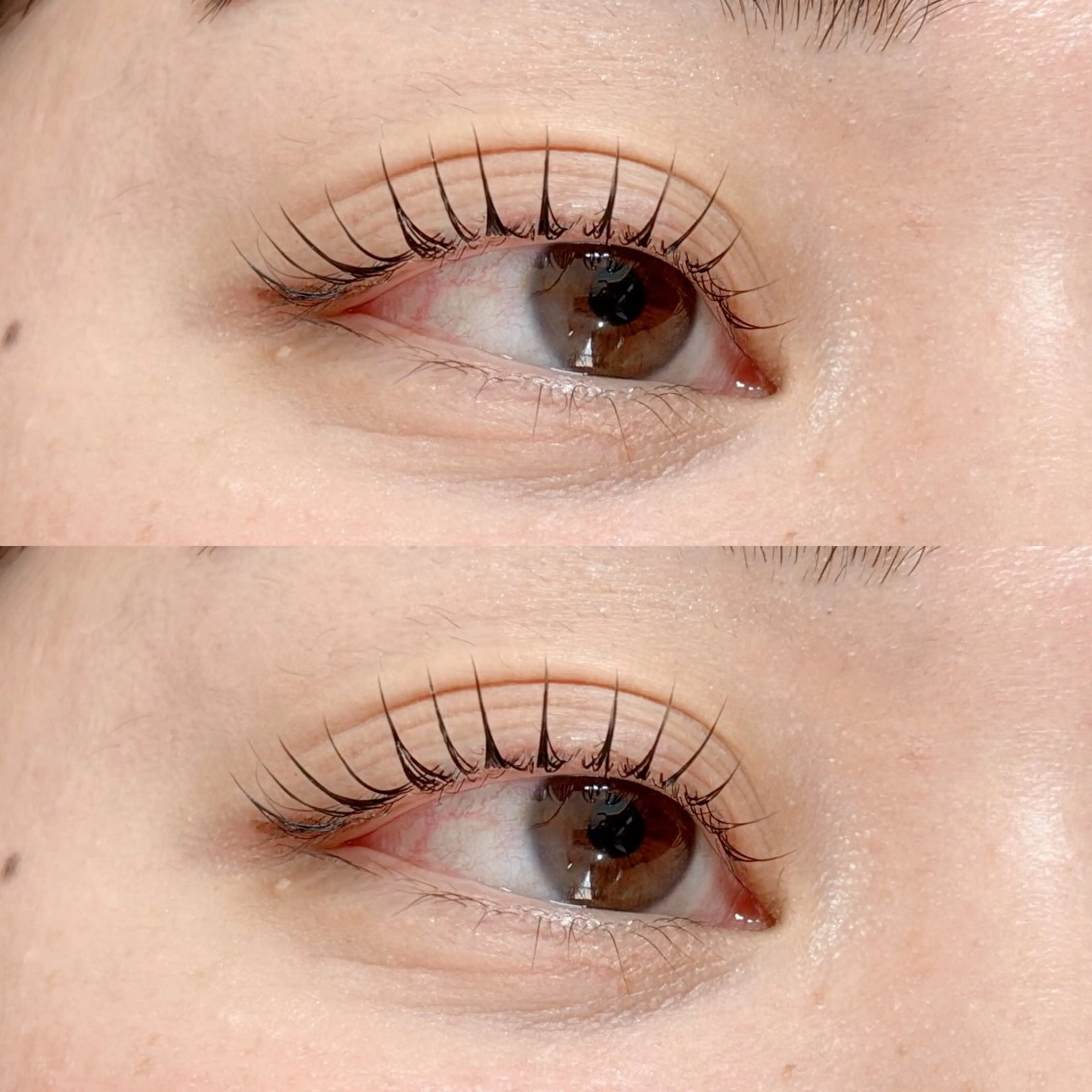 マツエク・マツパ マツパ sakurablow クニトミのマツエク・マツパデザイン