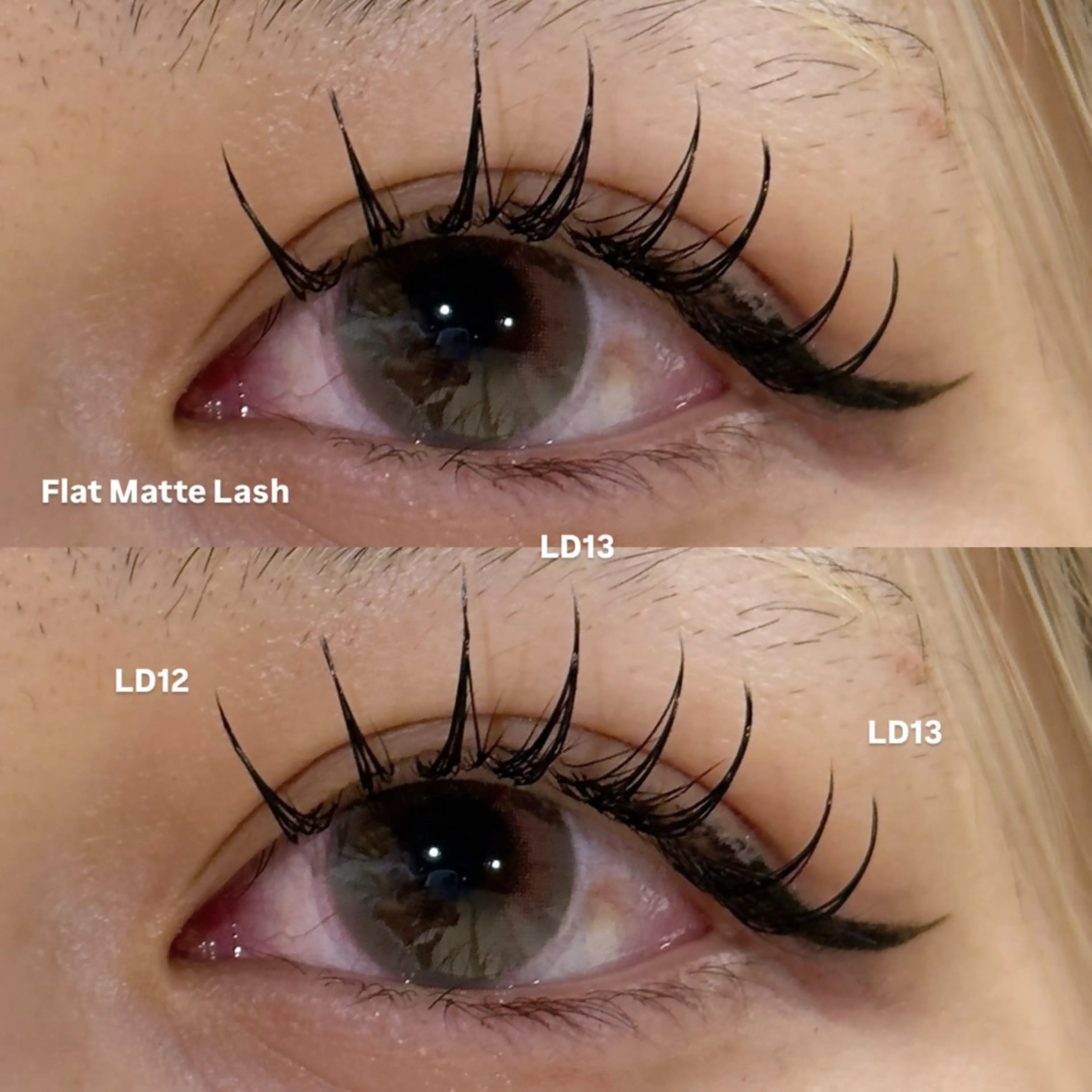 マツエク・マツパ マツエク 冬っぽカラー/ マツエク/ゆきなのマツエク・マツパデザイン