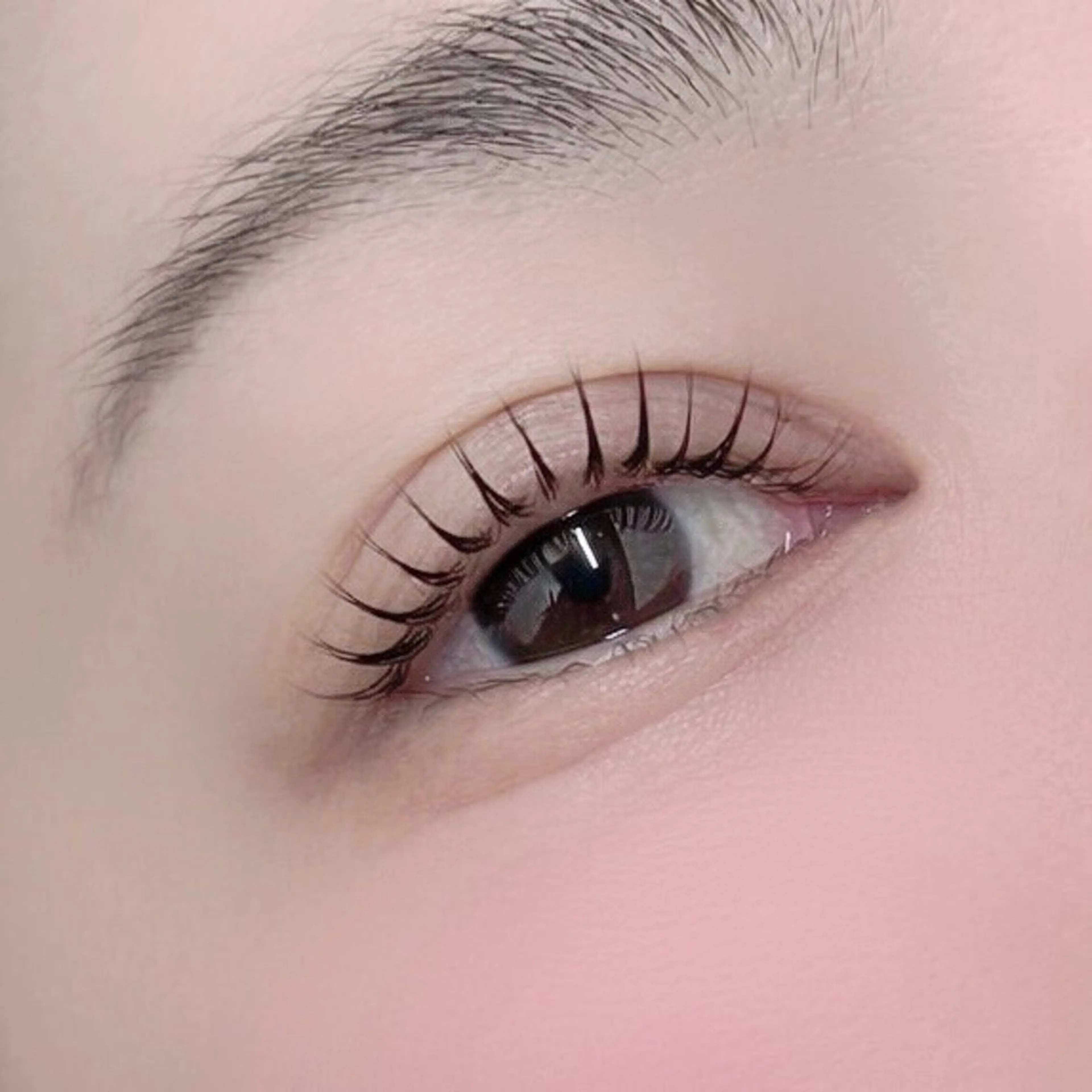 【平日限定まつ毛パーマ】¥6600→¥2750(トリートメント・アイシャンプー・コーティング付き)の写真