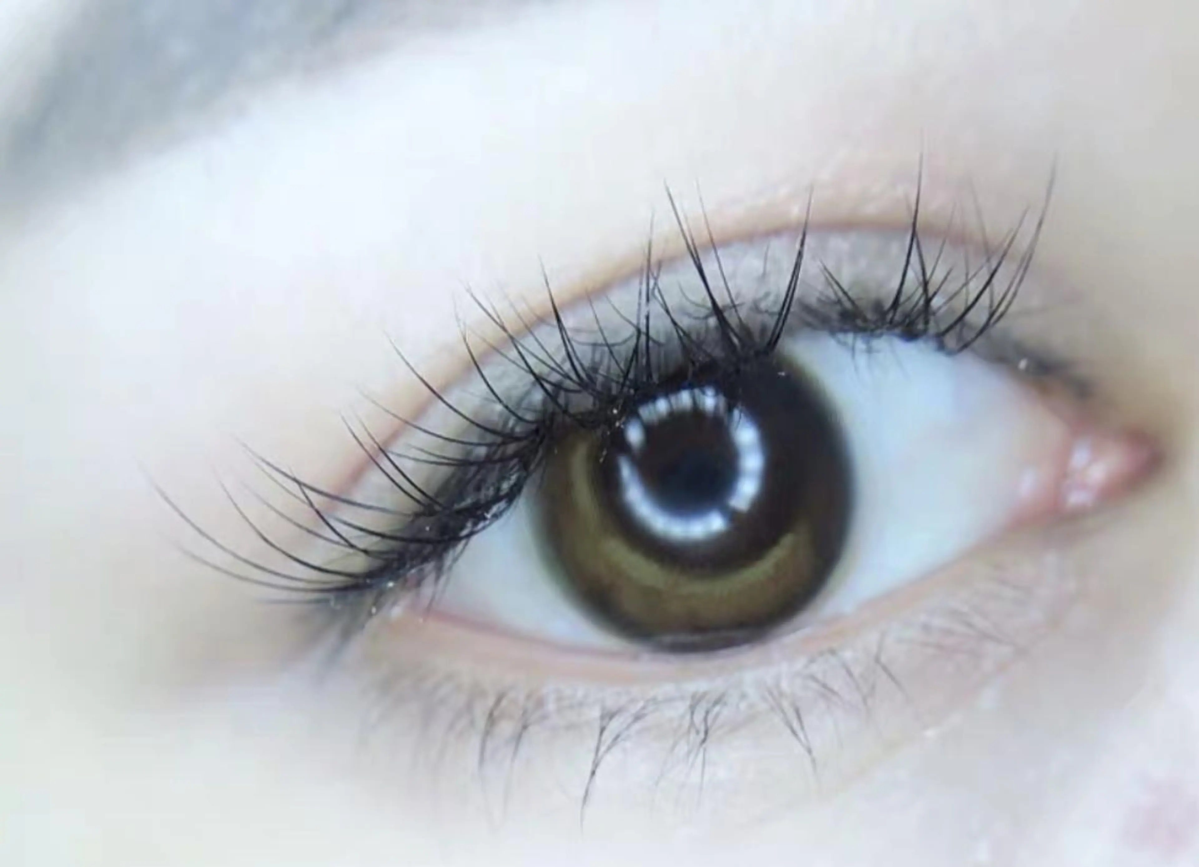 マツエク・マツパ Cute B e au t yのマツエク・マツパデザイン