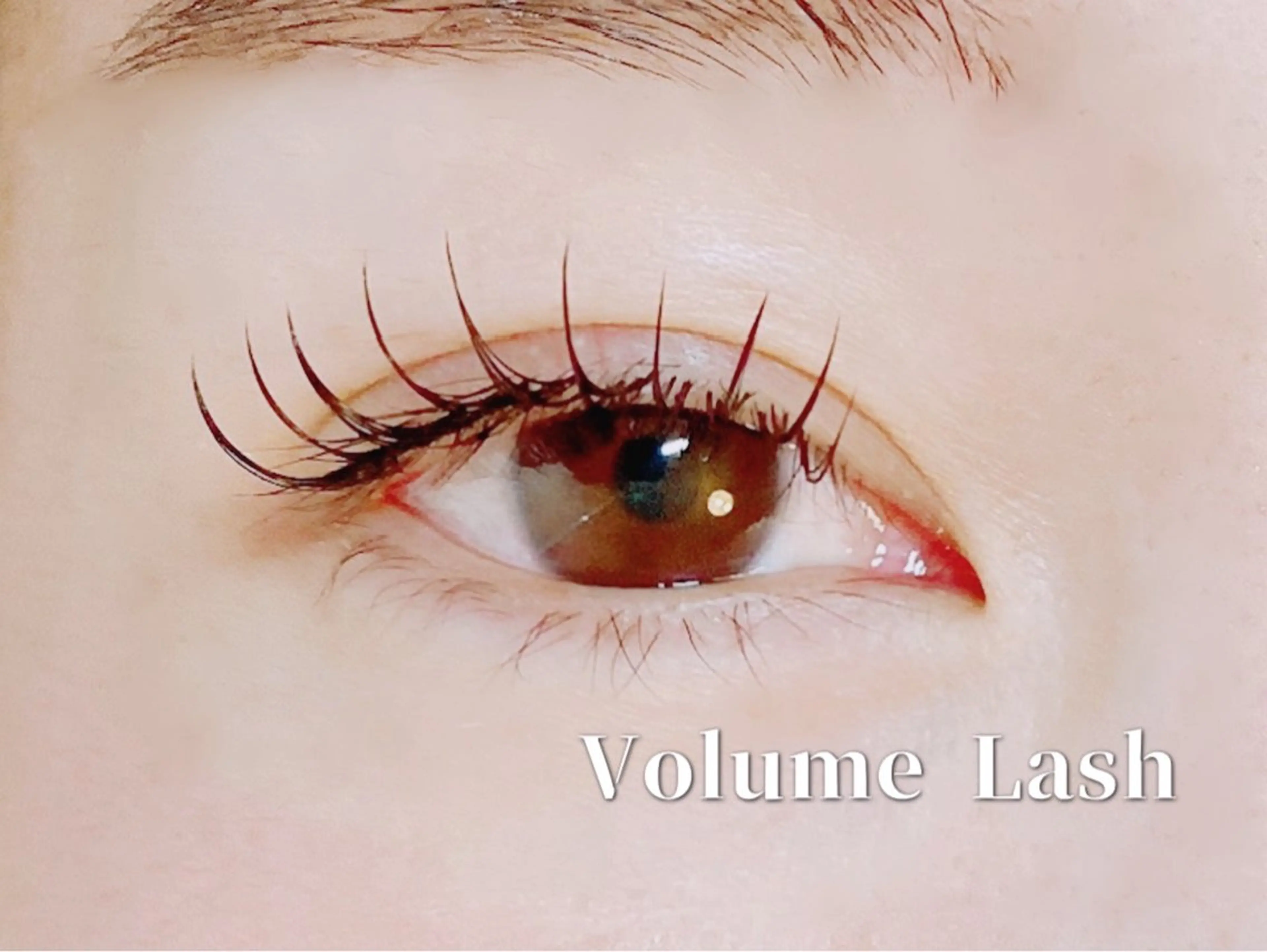 ボリュームラッシュ100束✖︎オフ込の写真