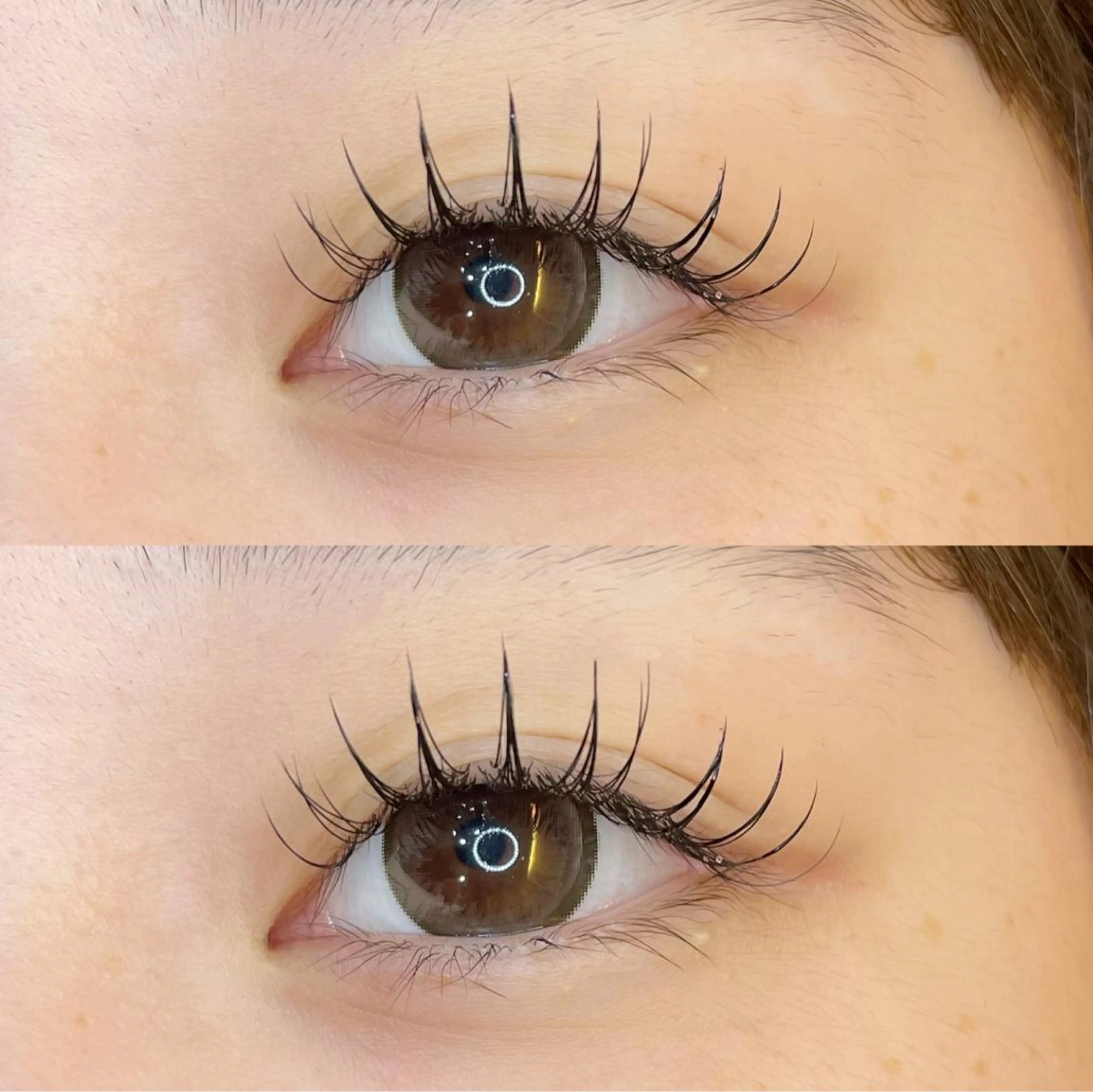 🛼アップワードラッシュ🛼140本まで(毛質フラットラッシュ)デザインお選びいただけます！の写真