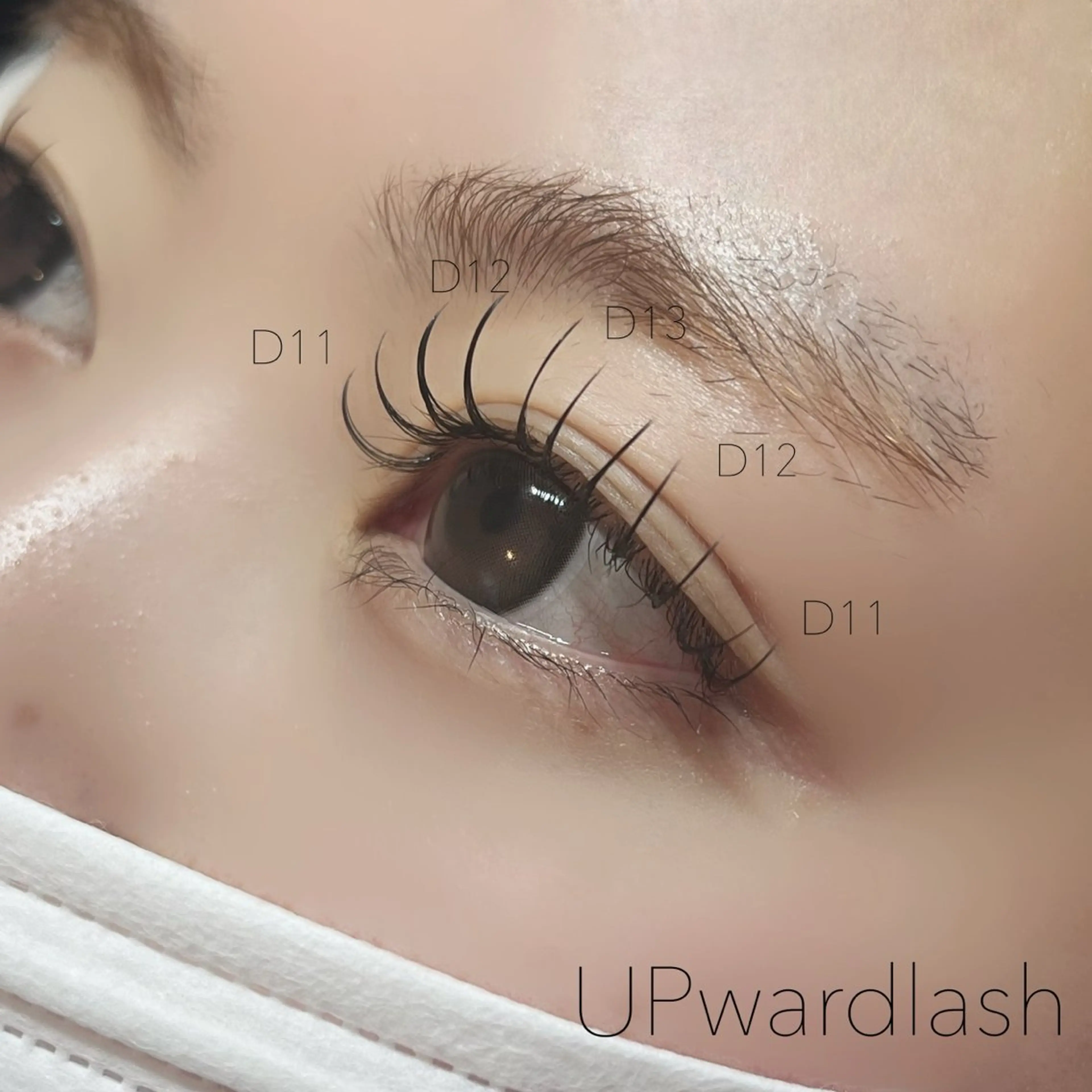 アップワードラッシュ100本/120本/140本🌼の写真