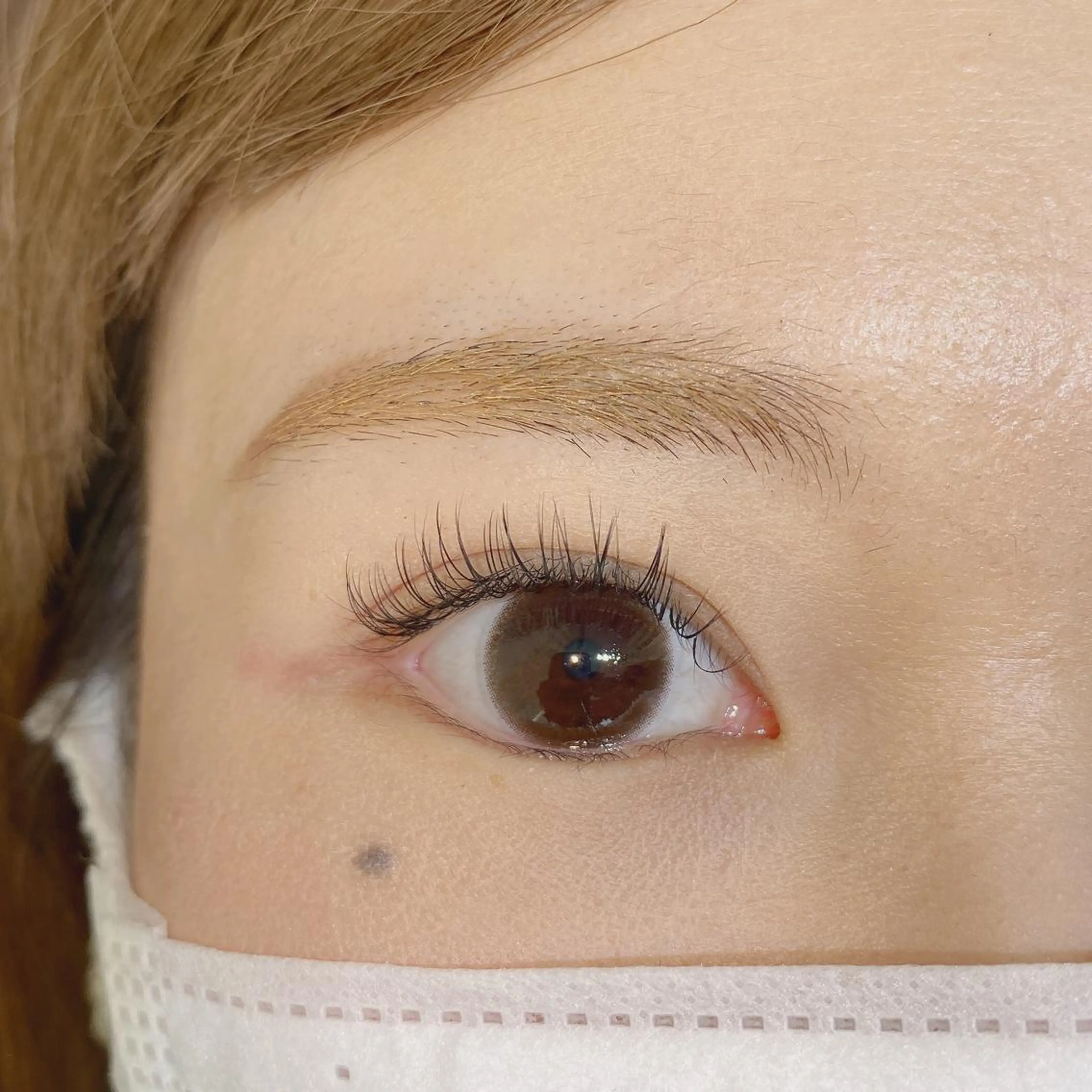 次世代🧡超軽量✨フラットラッシュ100本（オフ込）の写真