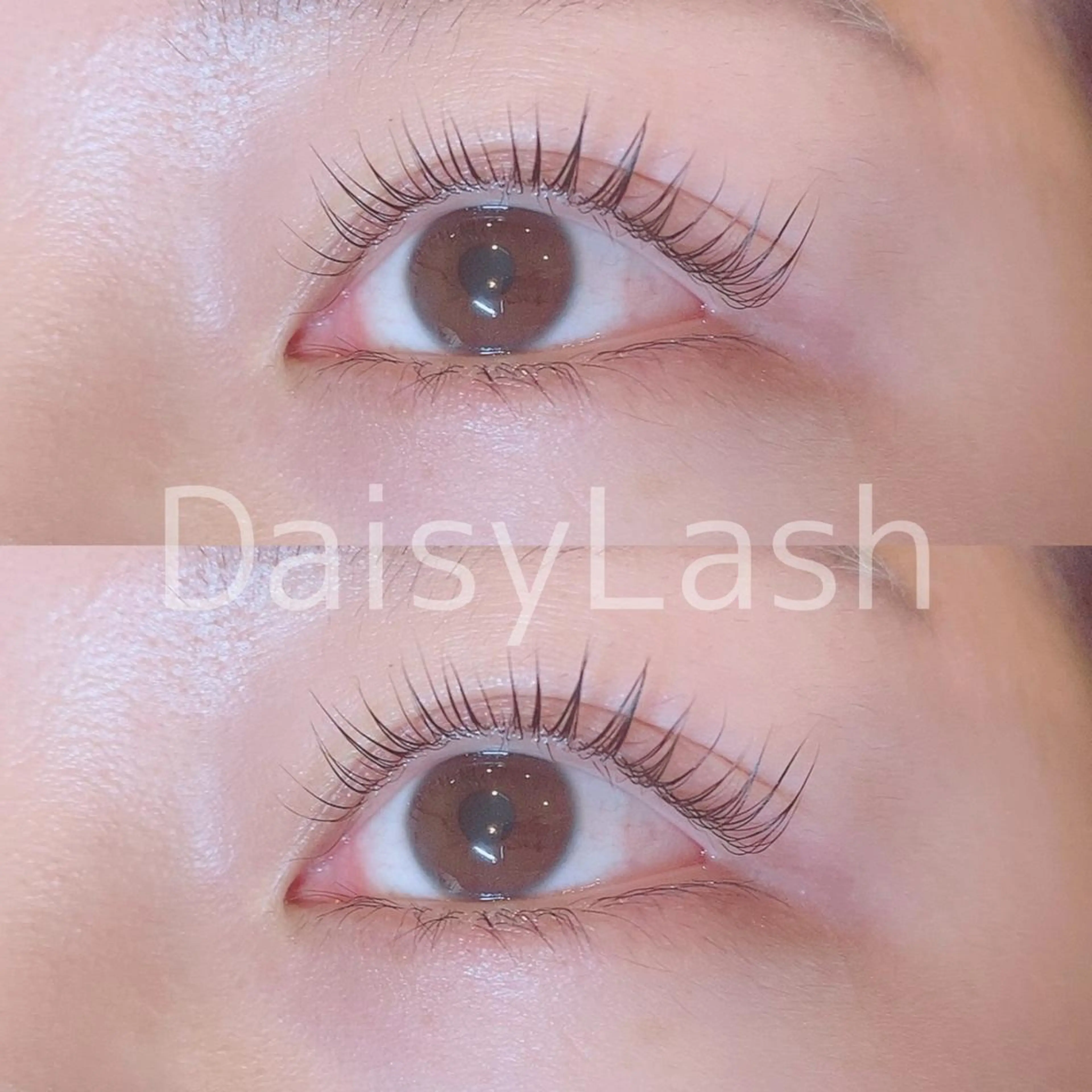 マツエク・マツパ DaisyLash 京橋店のマツエク・マツパデザイン