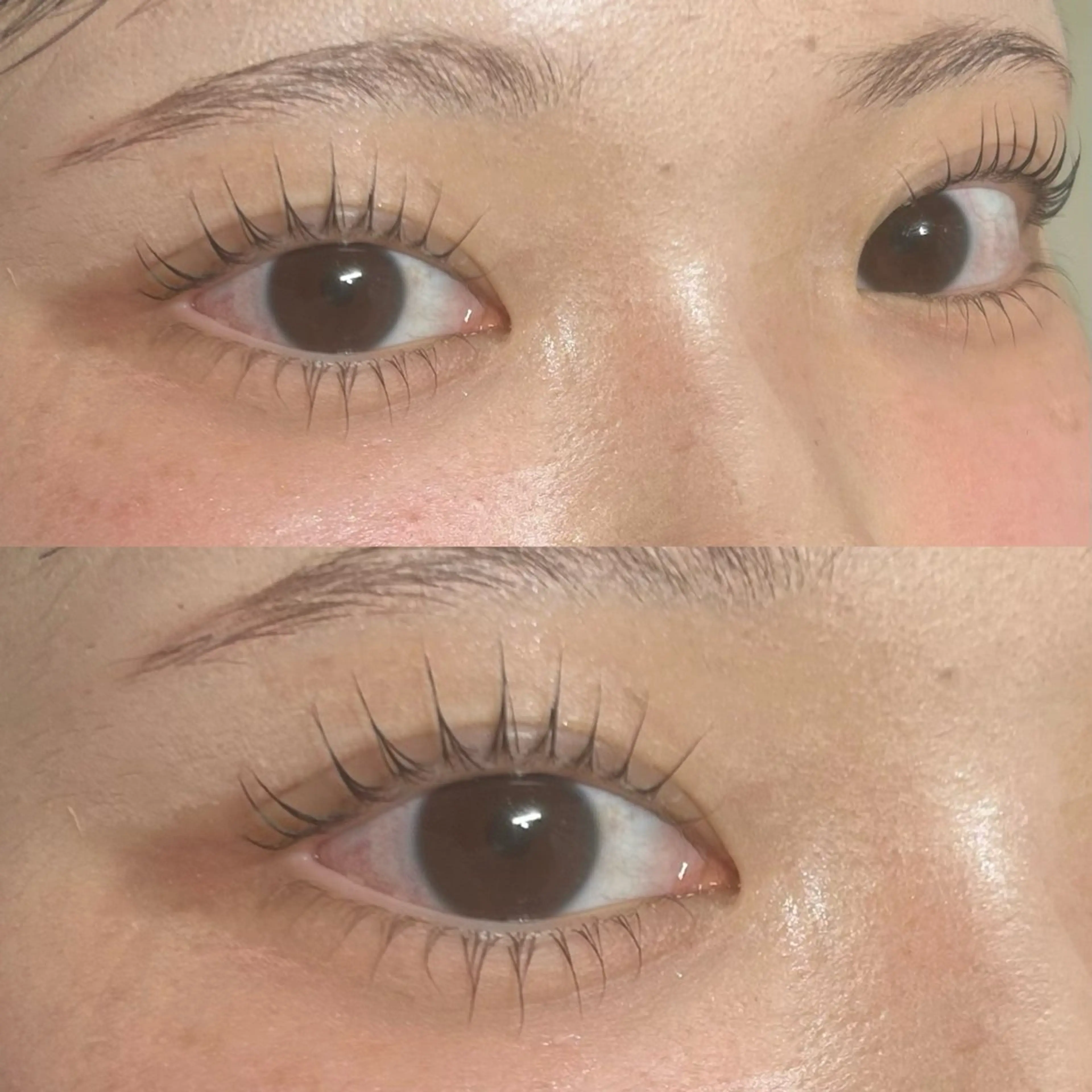 マツエク・マツパ 👑𝐊𝐢𝐧𝐠 心斎橋店🎀美麗のマツエク・マツパデザイン