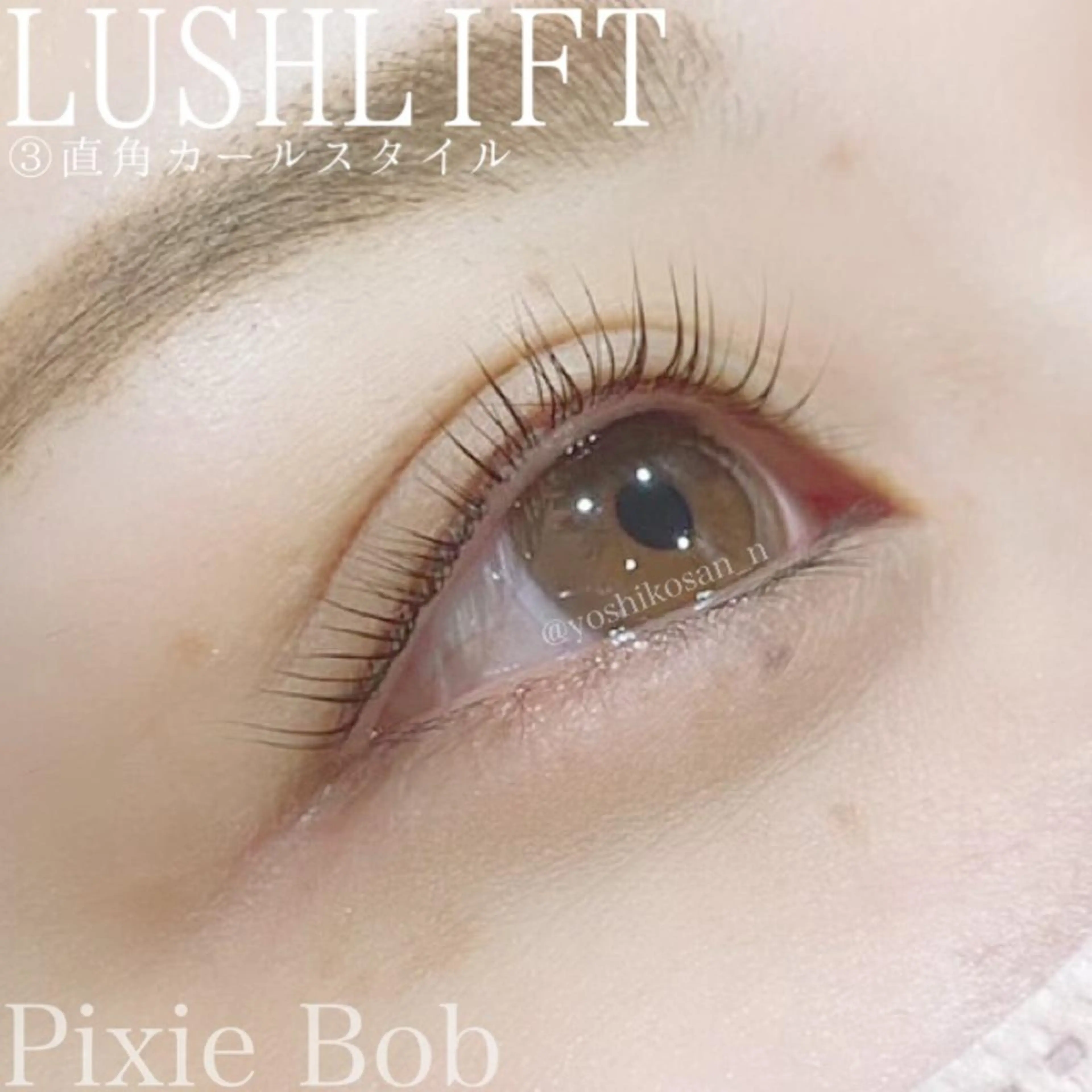 マツエク・マツパ カラーマツエク Pixie Bob 🐈‍⬛　位田のマツエク・マツパデザイン