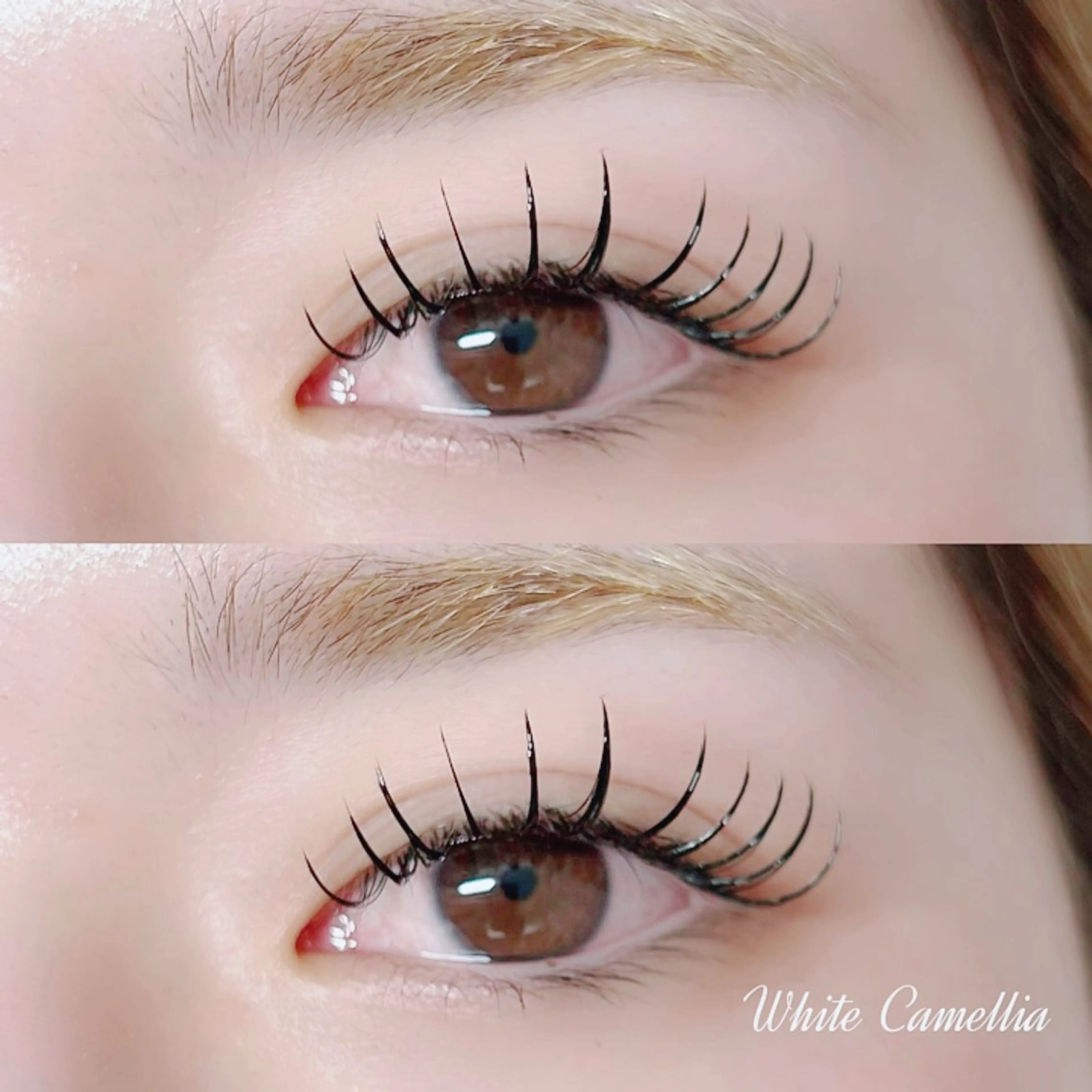 マツエク・マツパ フラットラッシュ 韓国風束感まつ毛 🫧Akaneのマツエク・マツパデザイン