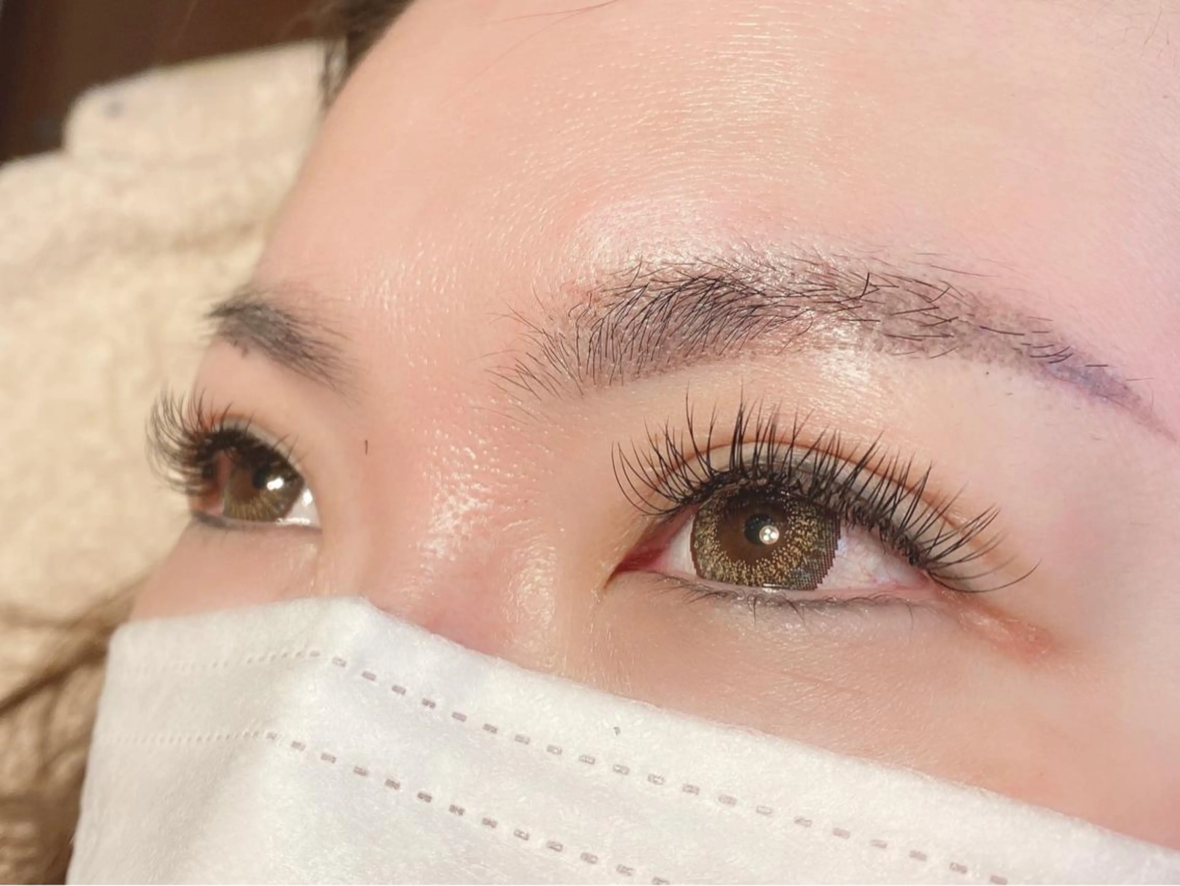 マツエク・マツパ Dカール フラットラッシュ n. asianのマツエク・マツパデザイン