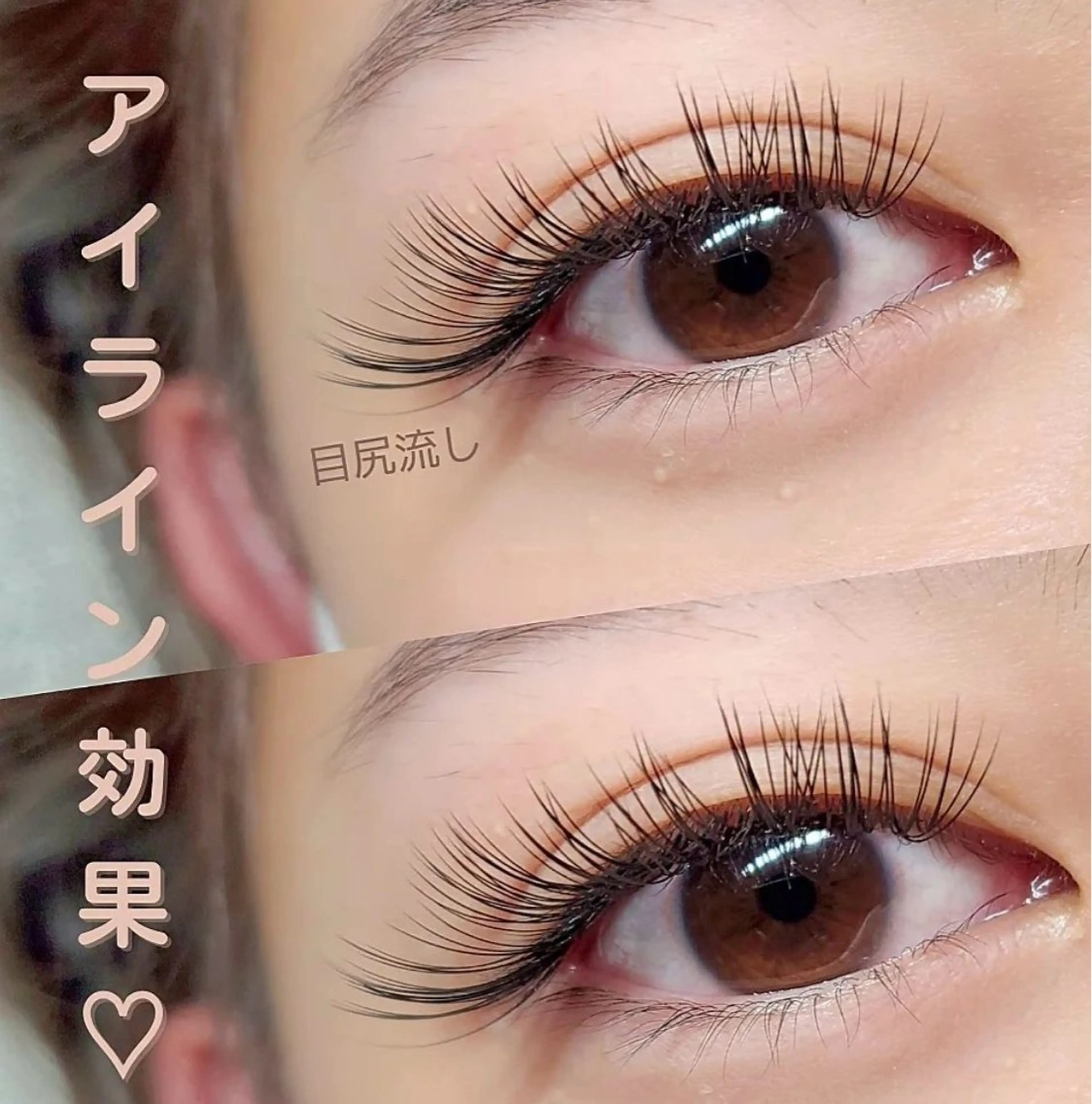 バインドロック100束の写真