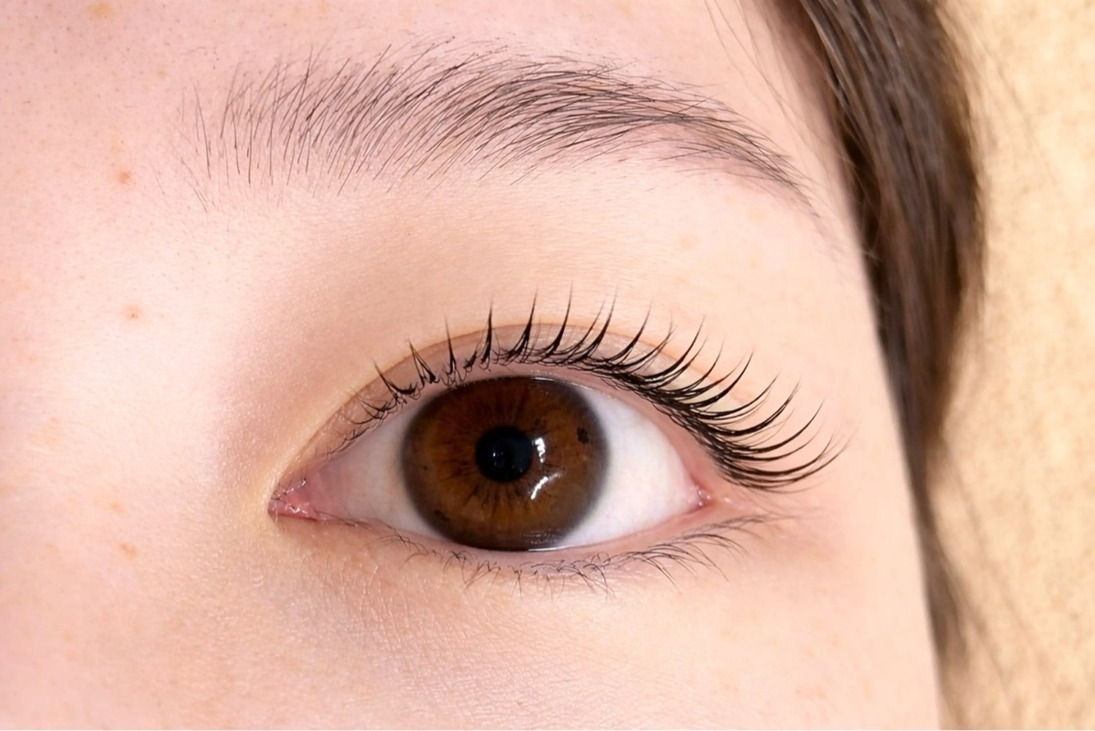 《人気No.1☝️》上まつ毛パーマ+保湿コーティング¥3960 🌸口コミご協力特典/アイパック付き🌸の写真