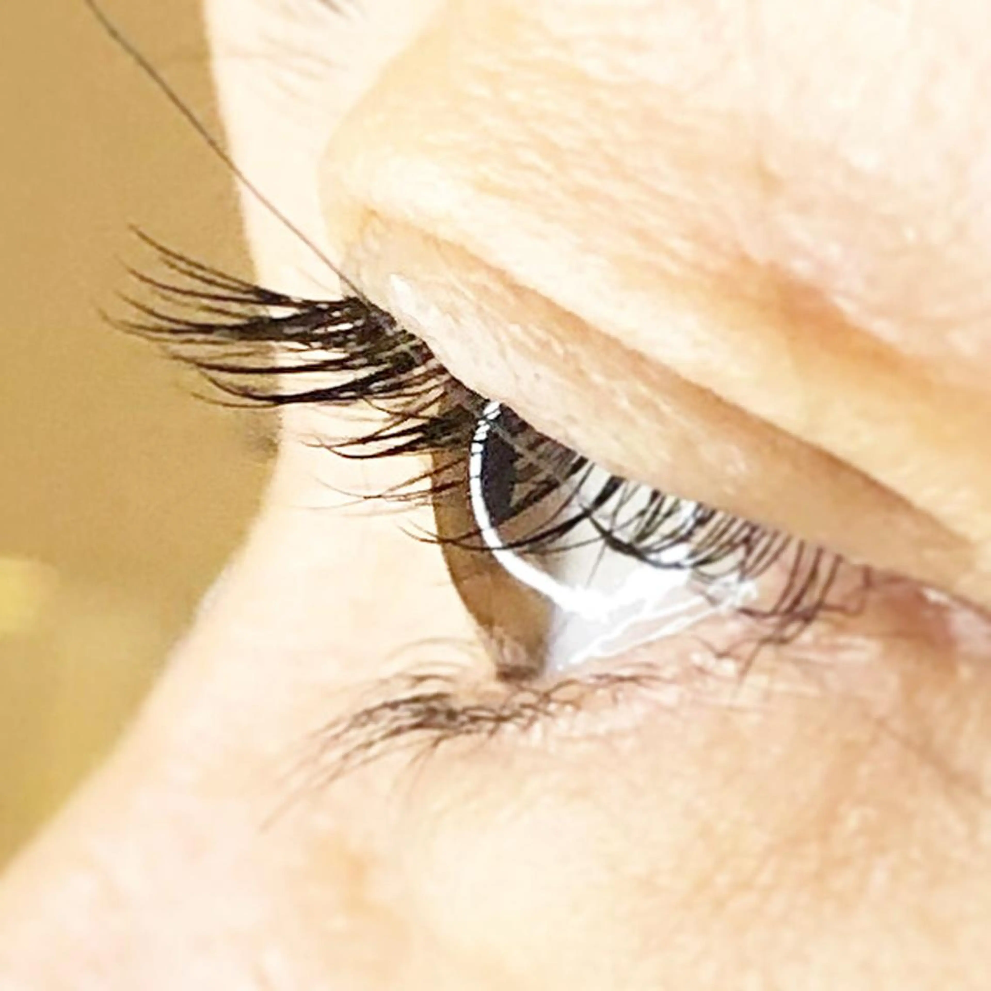 マツエク・マツパ ナチュラル 9nine 河合のマツエク・マツパデザイン